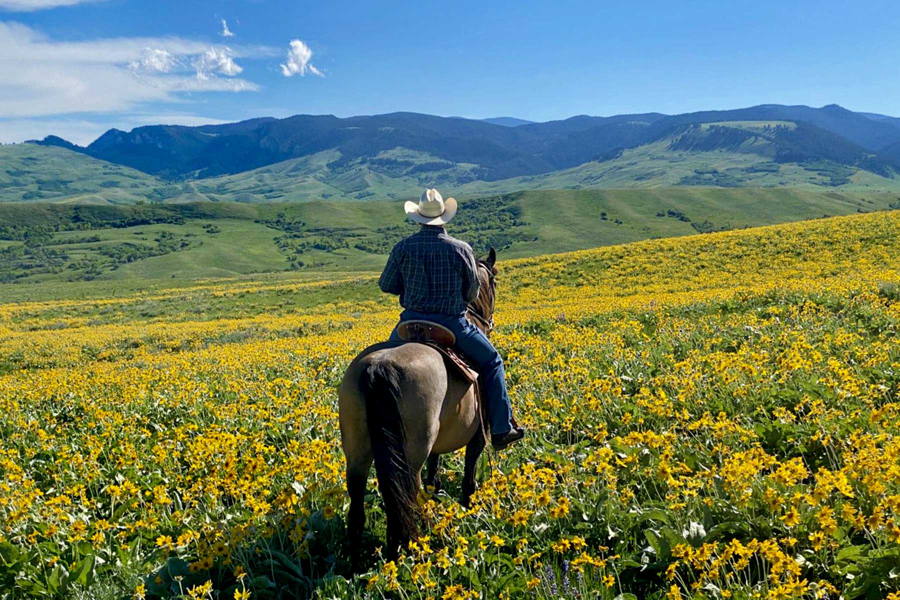 Mountain Side Vista property picture 4 of 28