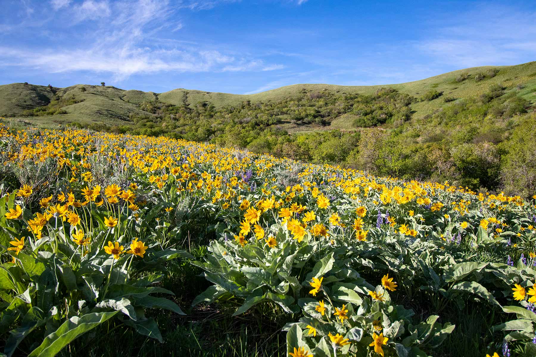 Mountain Side Vista property picture 23 of 28