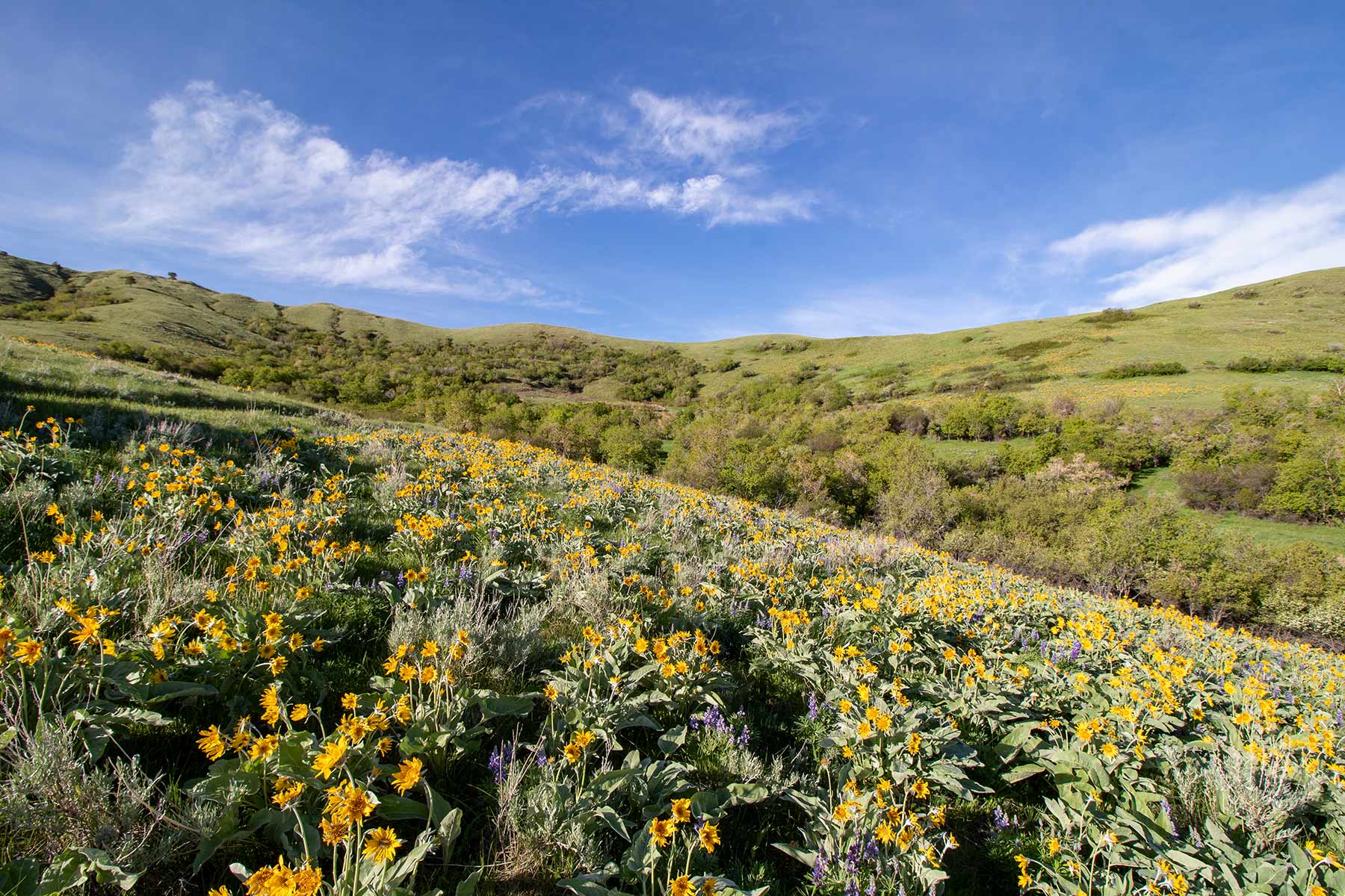 Mountain Side Vista property picture 18 of 28