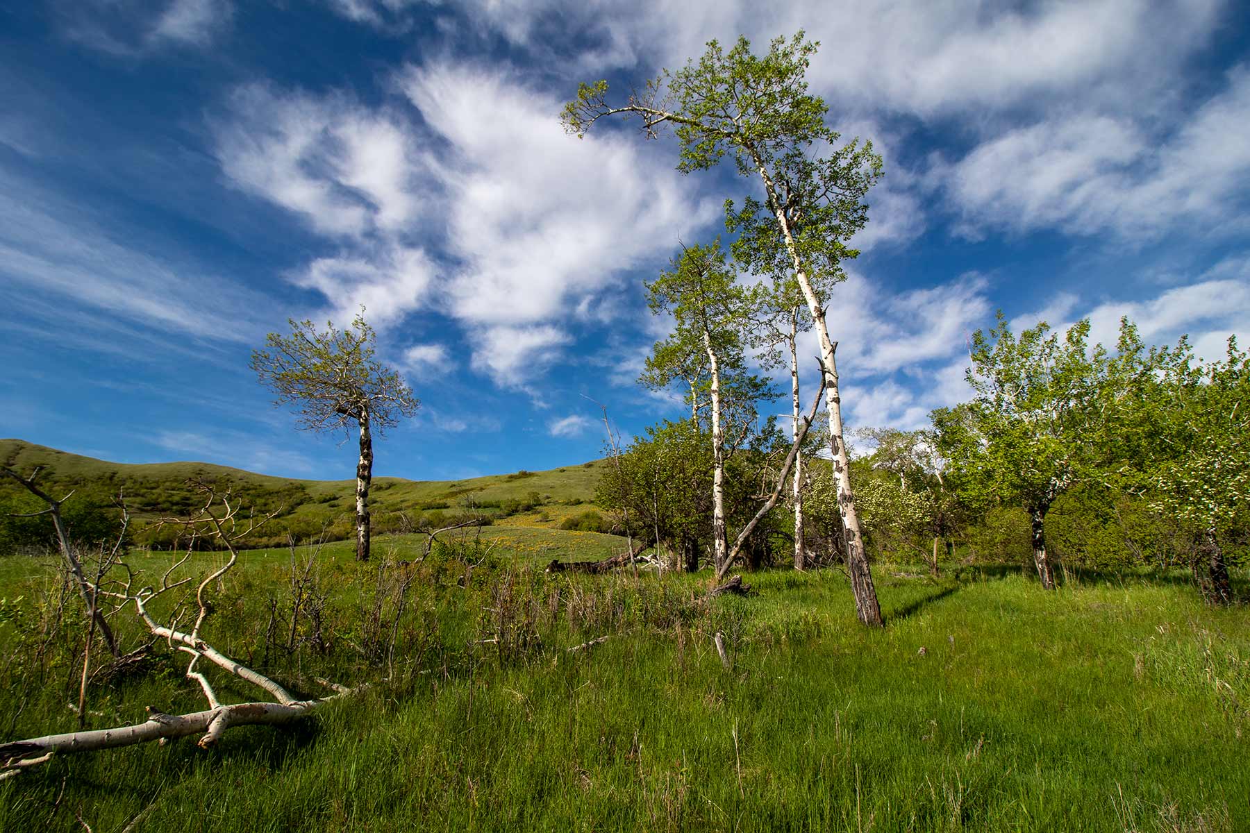 Mountain Side Vista property picture 17 of 28