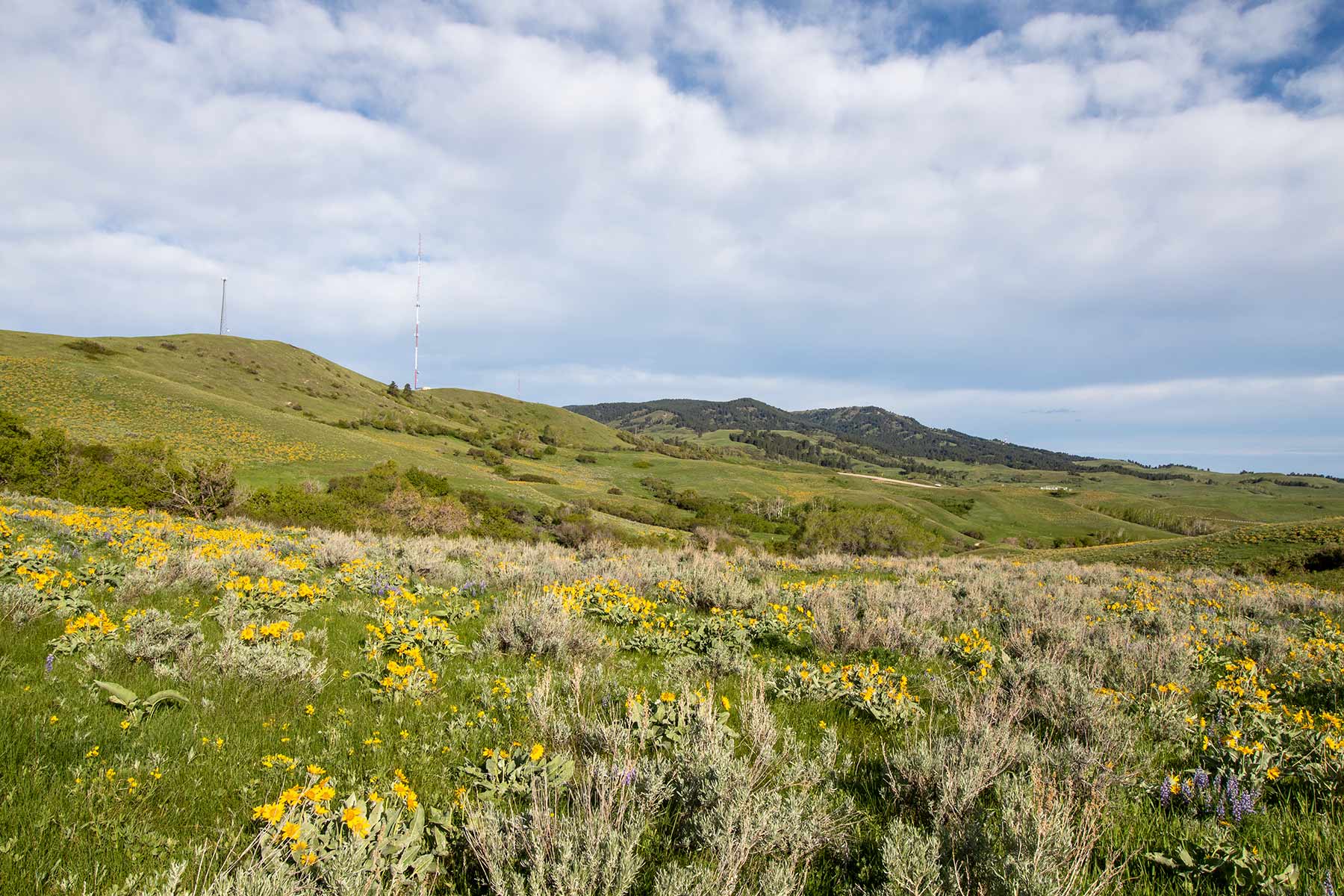 Mountain Side Vista property picture 22 of 28