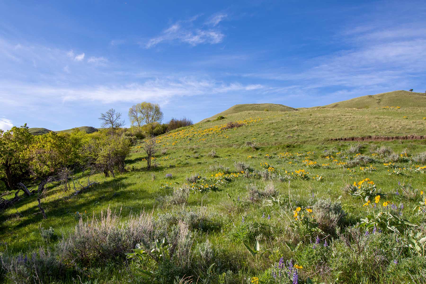 Mountain Side Vista property picture 27 of 28