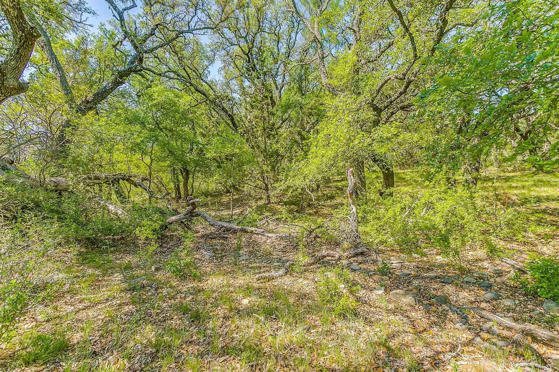 Jordan Ranch property picture 79 of 91