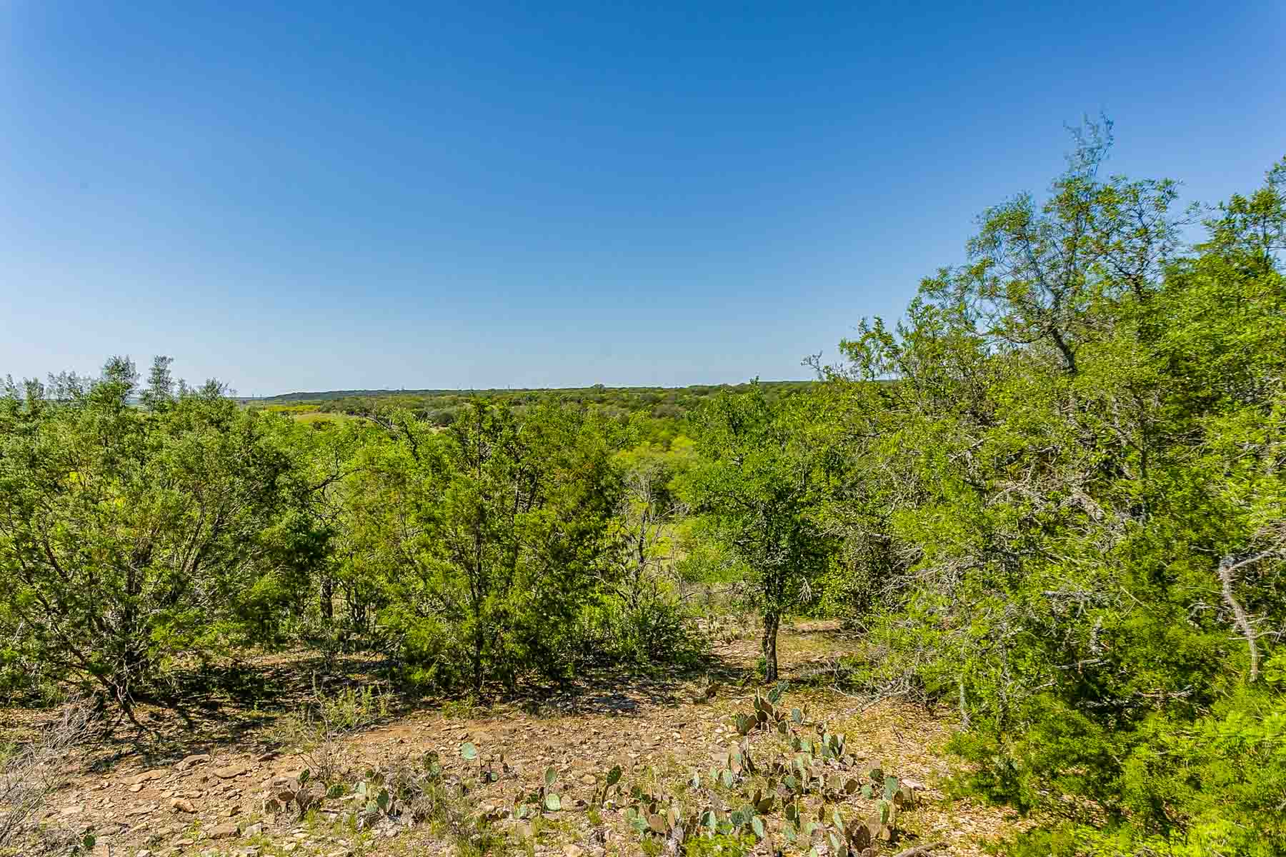 Jordan Ranch property picture 81 of 91