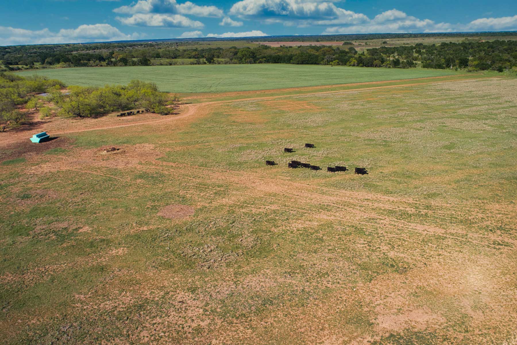 Jordan Ranch property picture 4 of 91