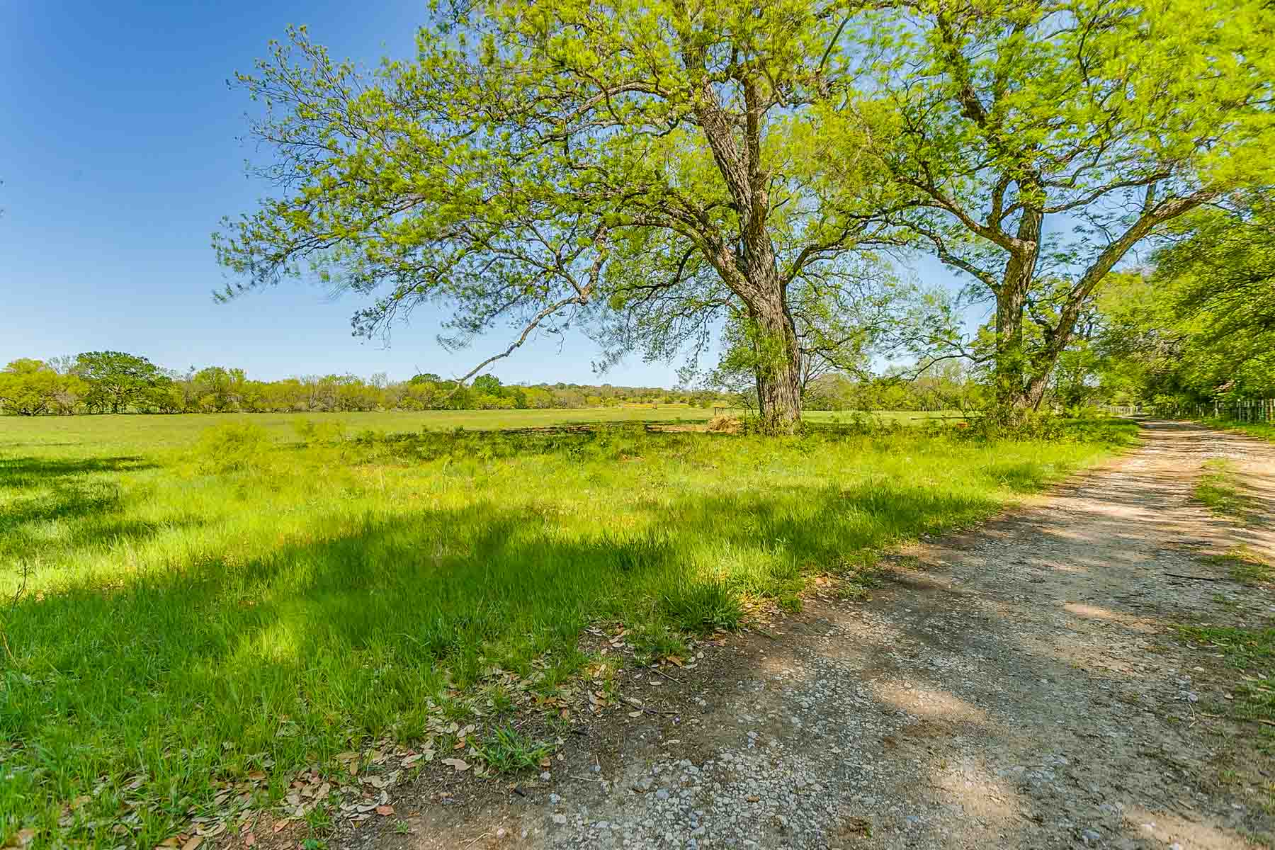 Jordan Ranch property picture 64 of 91