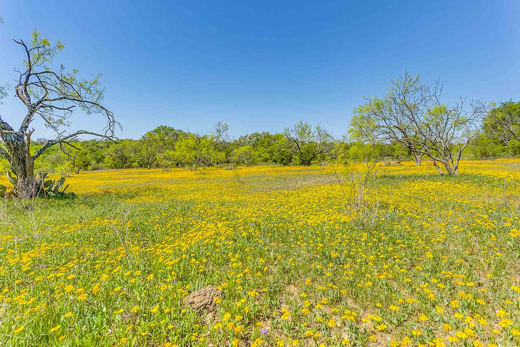 Jordan Ranch property picture 75 of 91