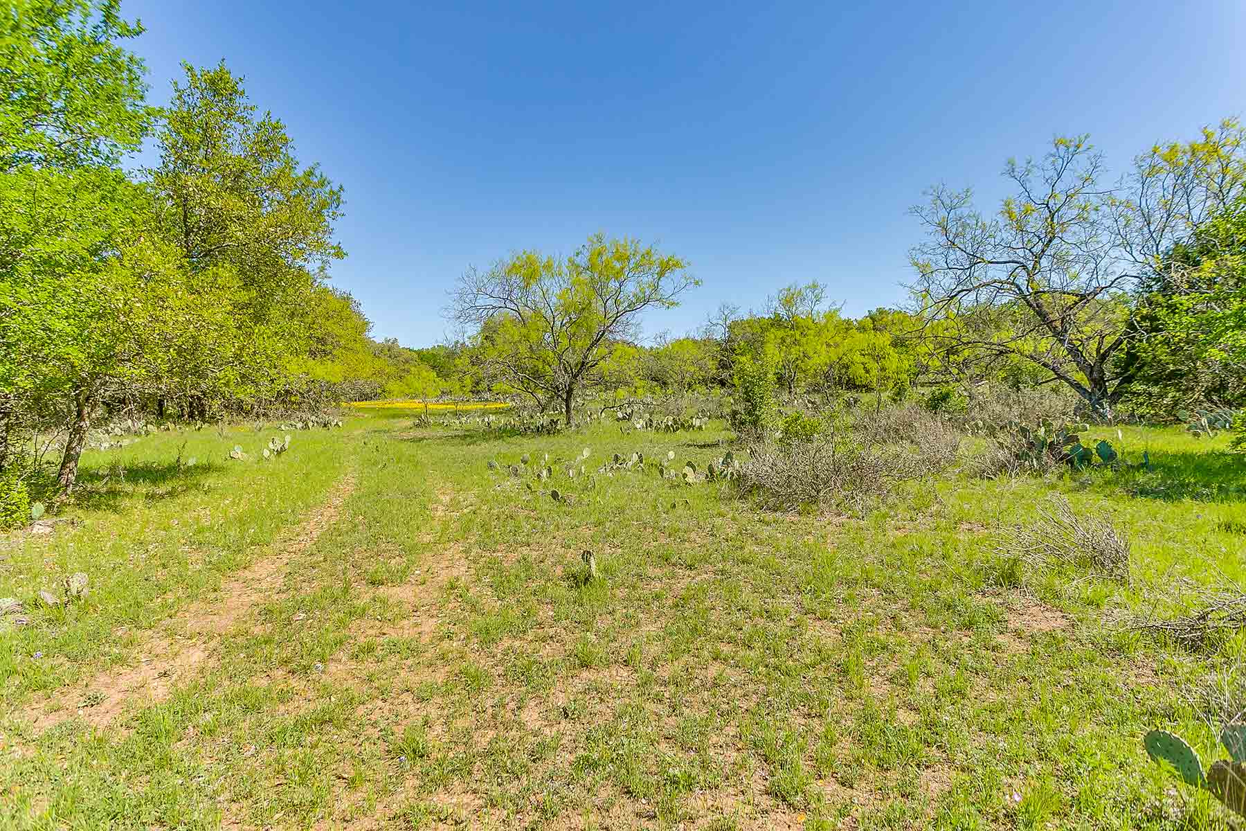 Jordan Ranch property picture 73 of 91