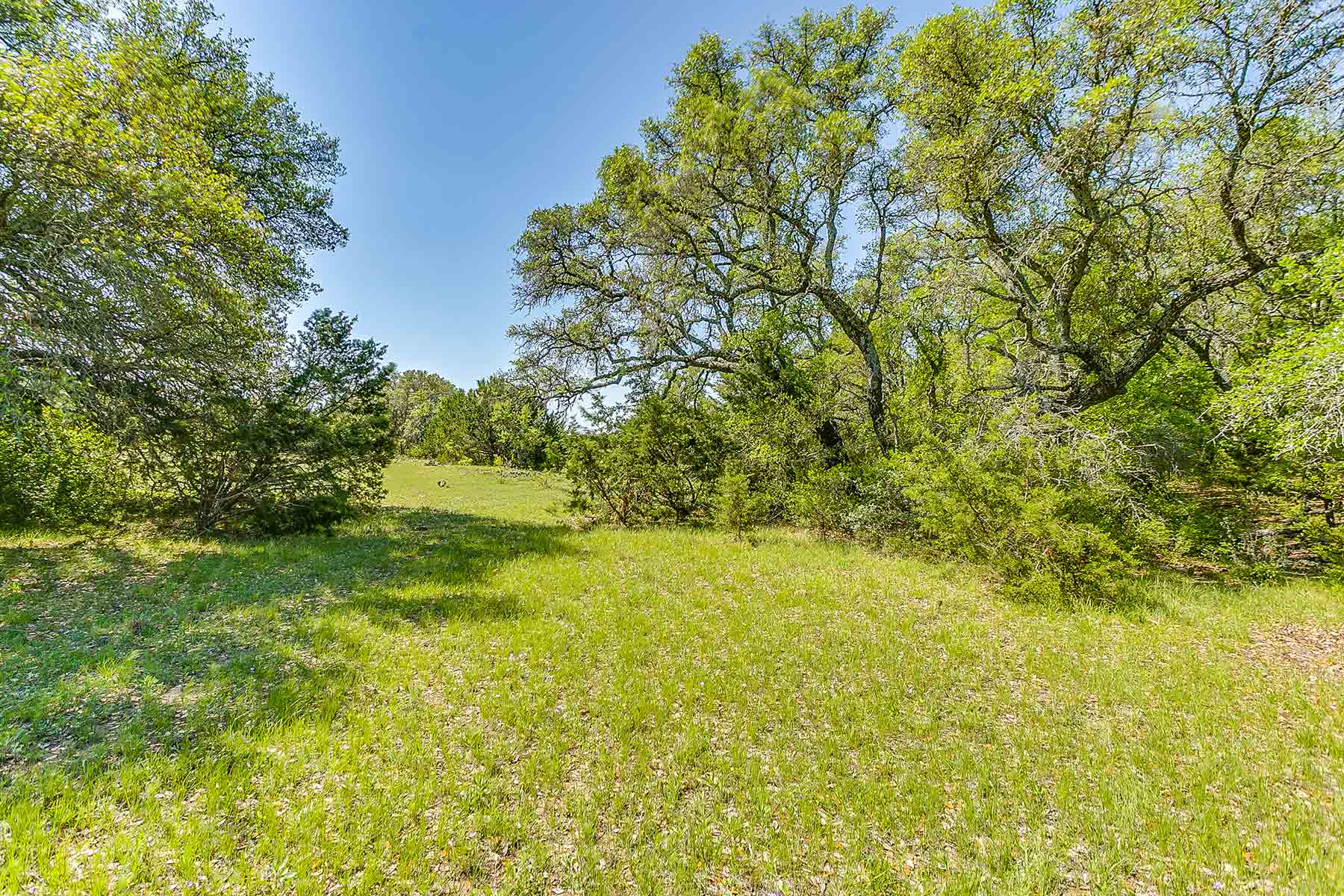 Jordan Ranch property picture 80 of 91