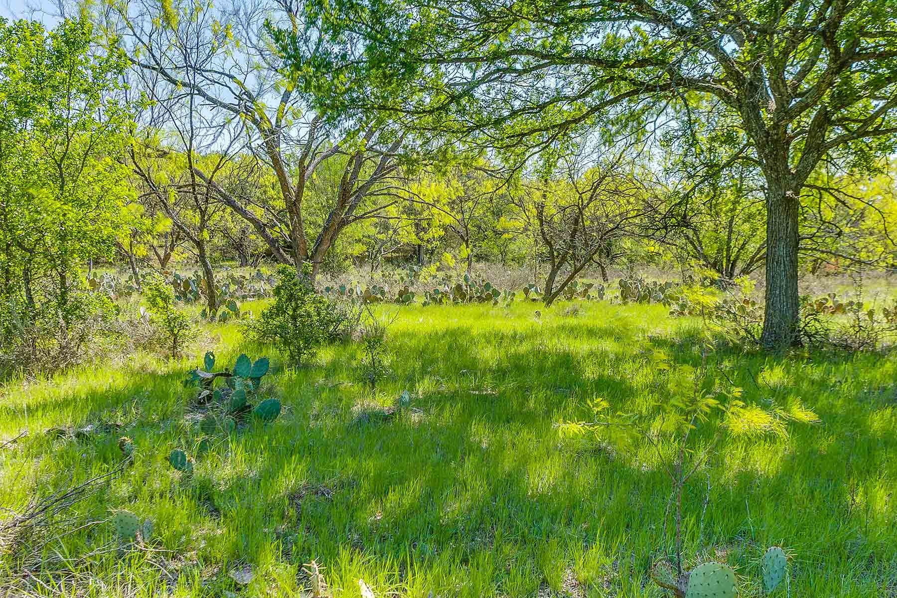 Jordan Ranch property picture 72 of 91