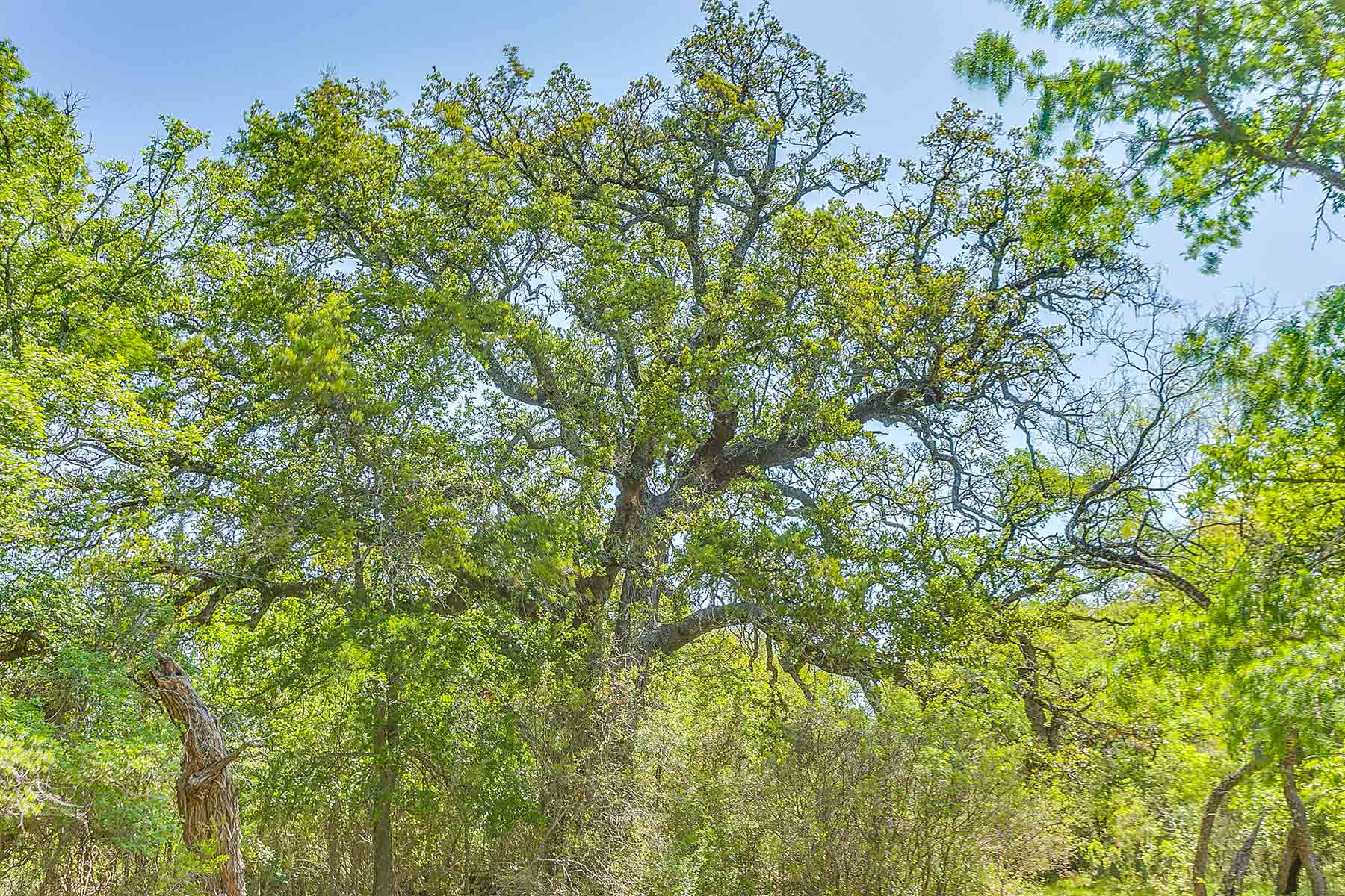 Jordan Ranch property picture 84 of 91