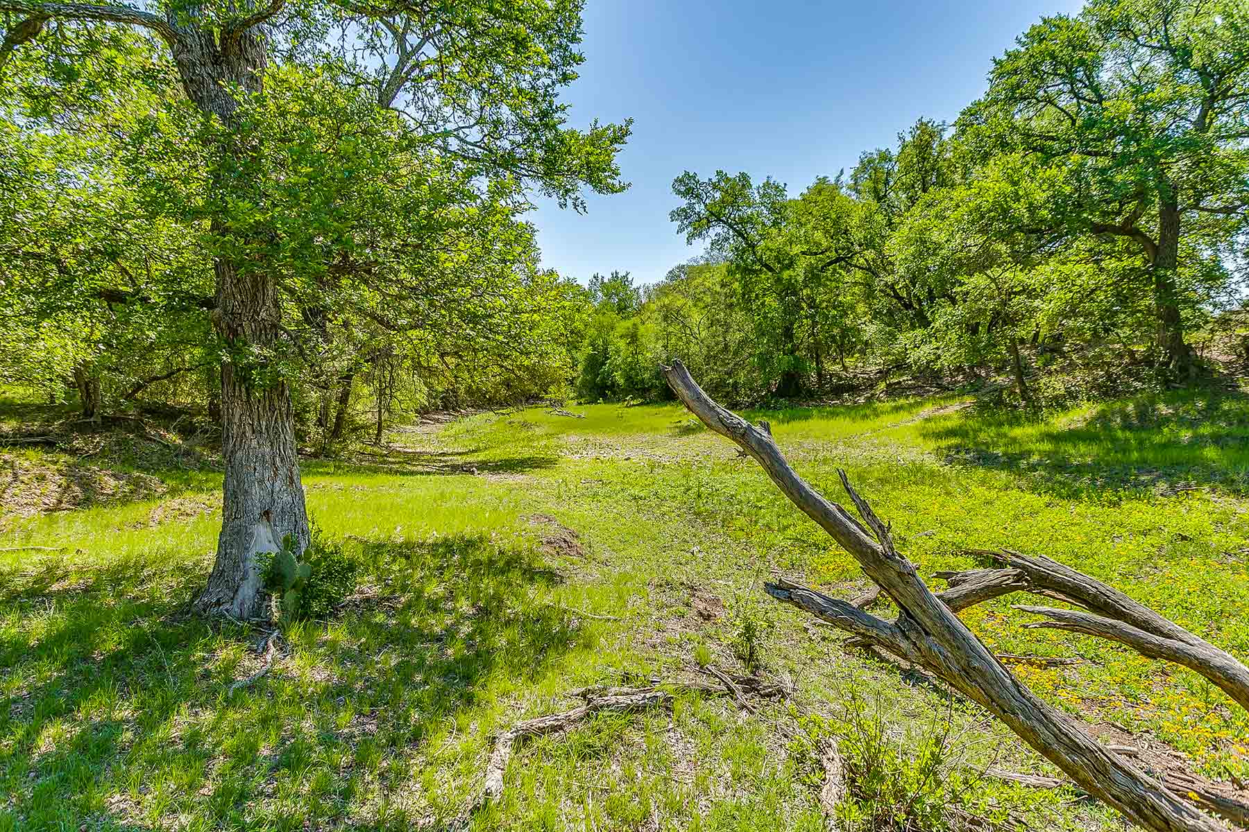 Jordan Ranch property picture 76 of 91