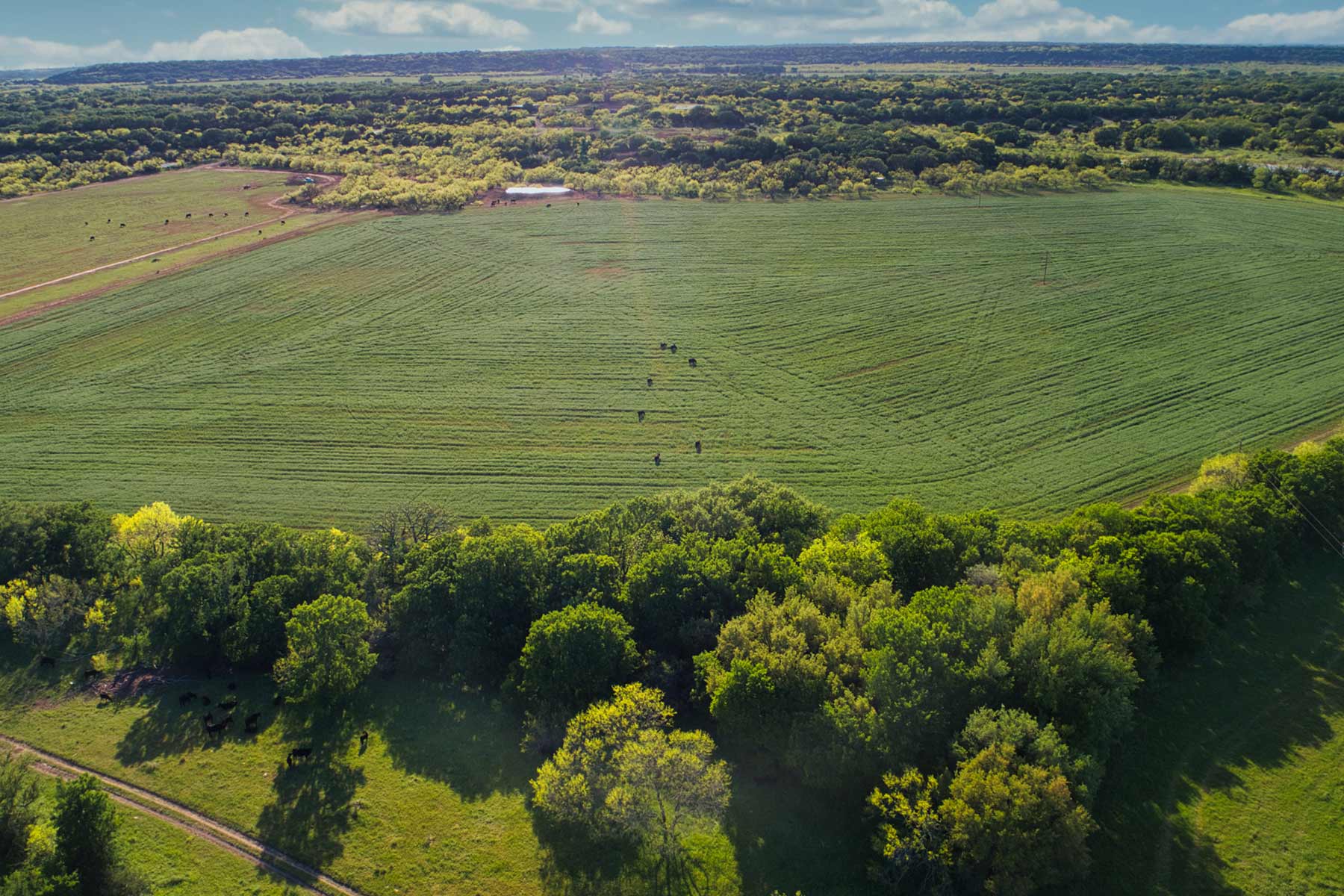 Jordan Ranch property picture 2 of 91