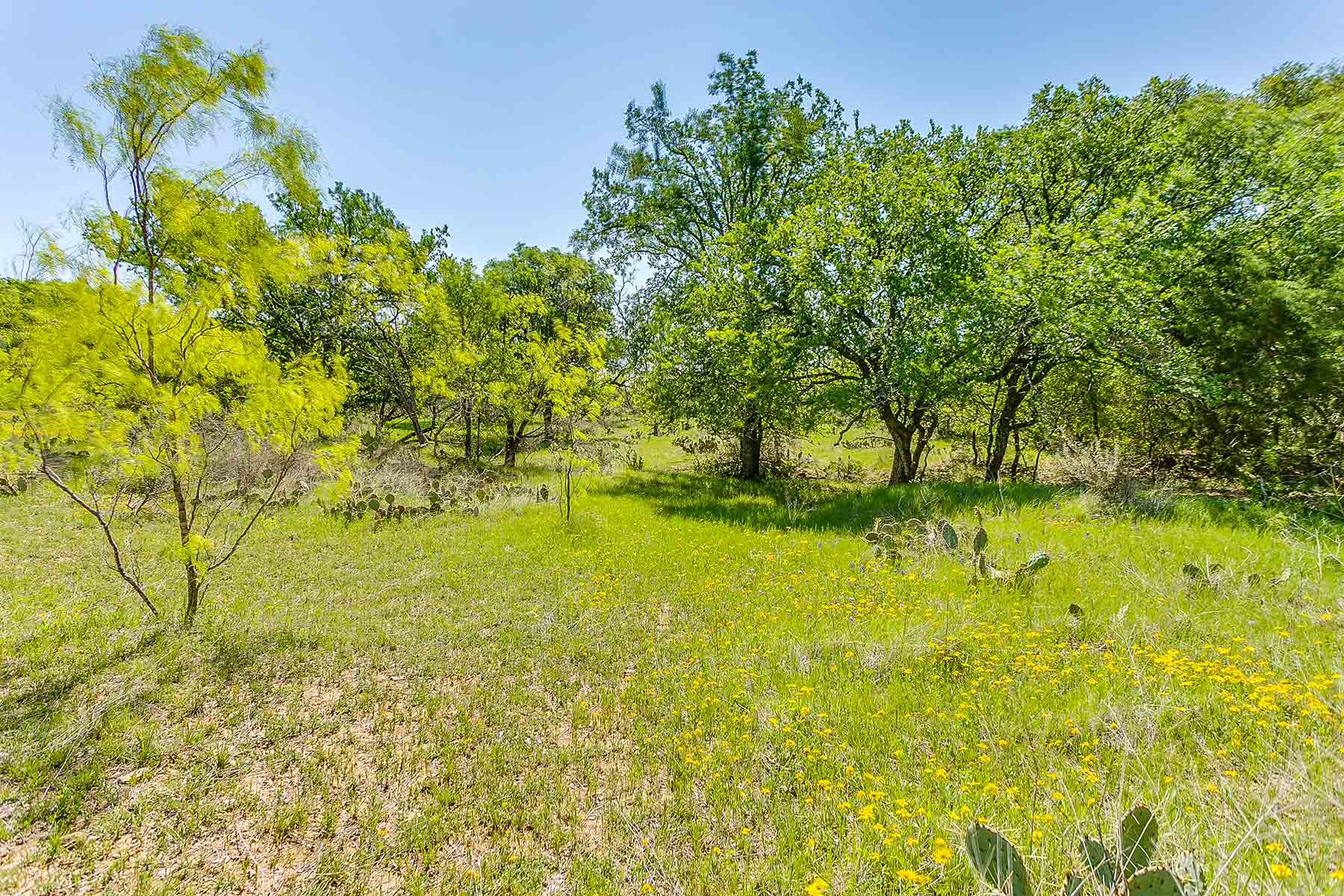 Jordan Ranch property picture 87 of 91