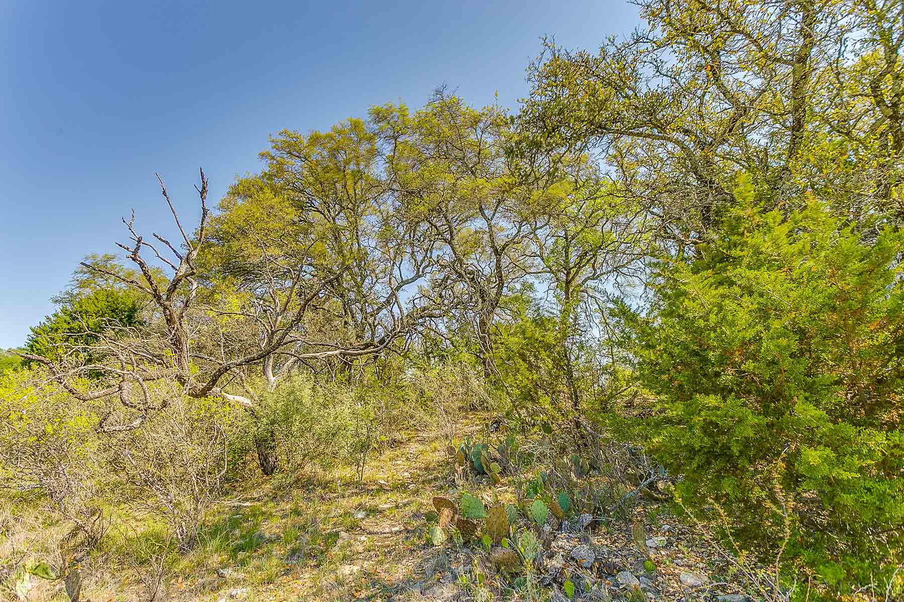 Jordan Ranch property picture 74 of 91