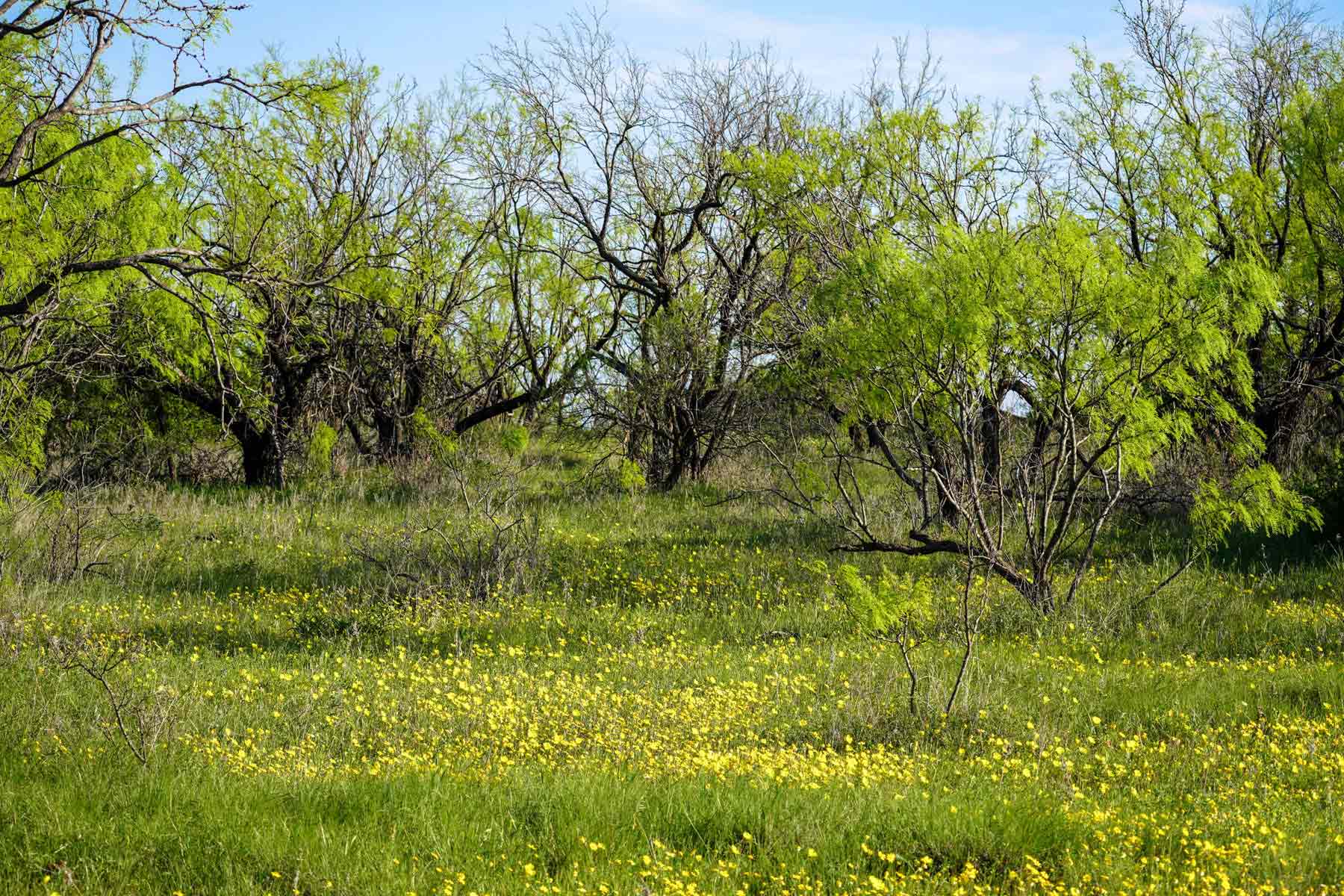 Tecumseh Ranch Hall and Hall
