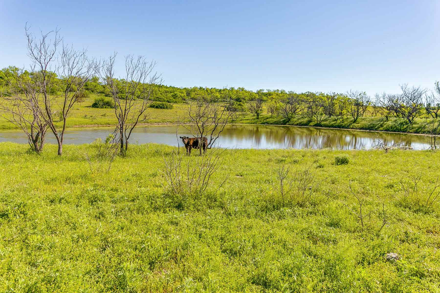 Tecumseh Ranch Hall and Hall