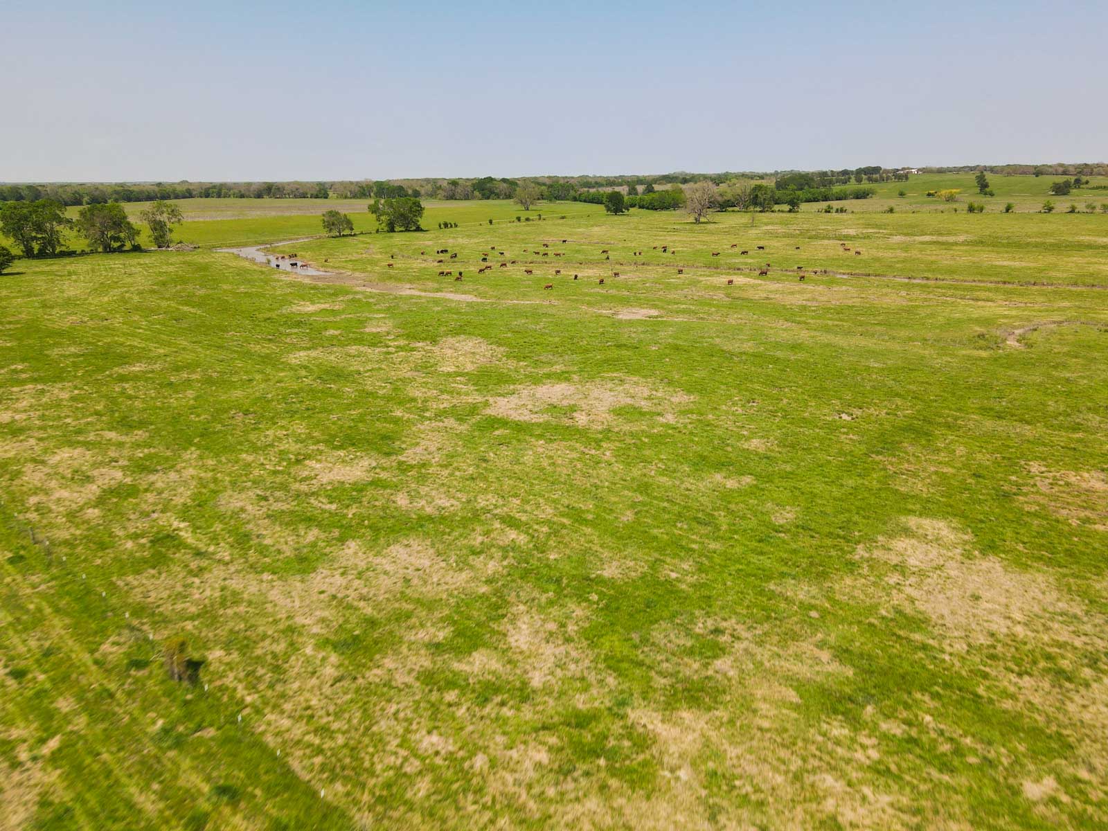 Plummers Creek Ranch property picture 5 of 37