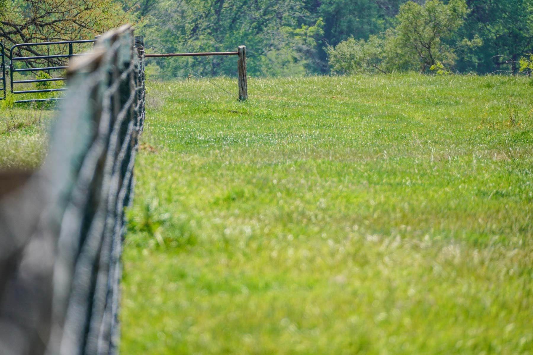 Plummers Creek Ranch property picture 31 of 37