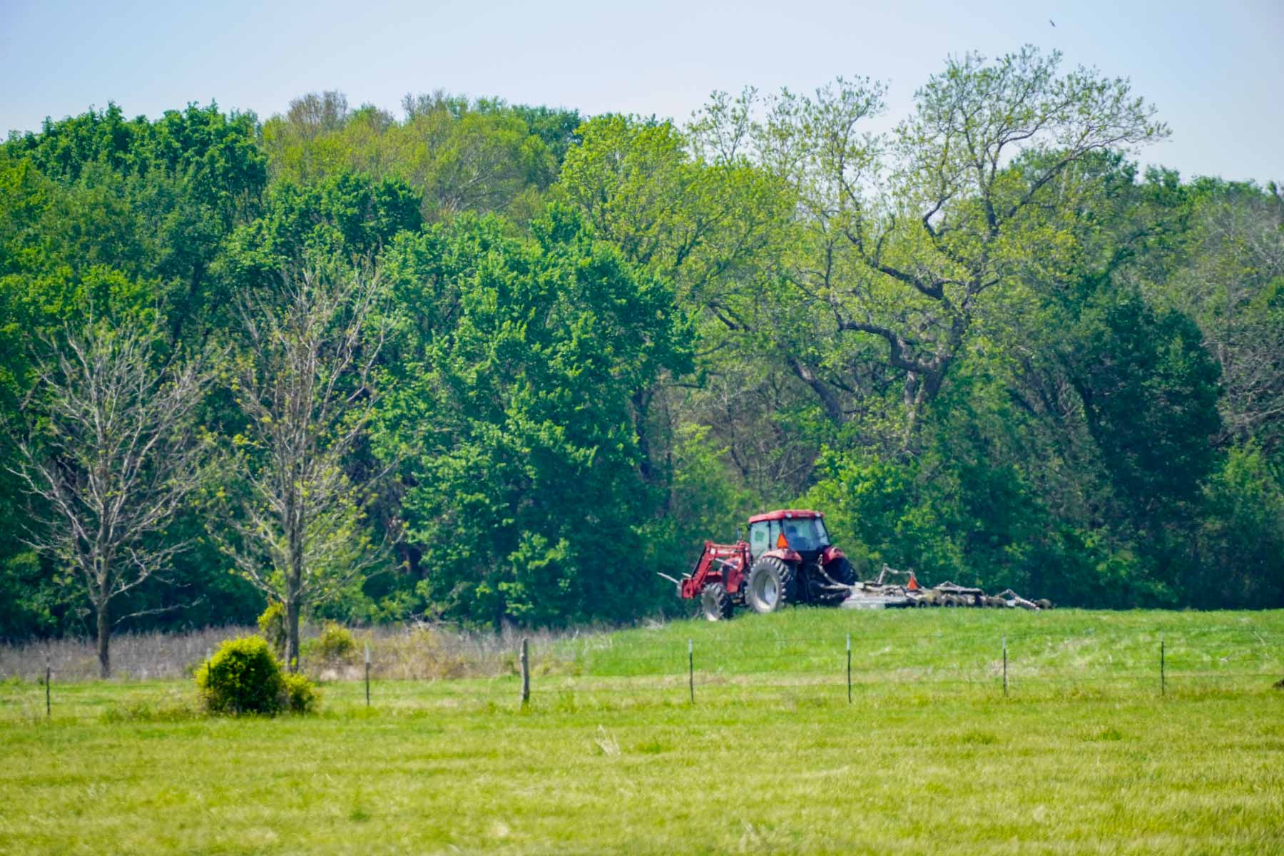 Plummers Creek Ranch property picture 17 of 37