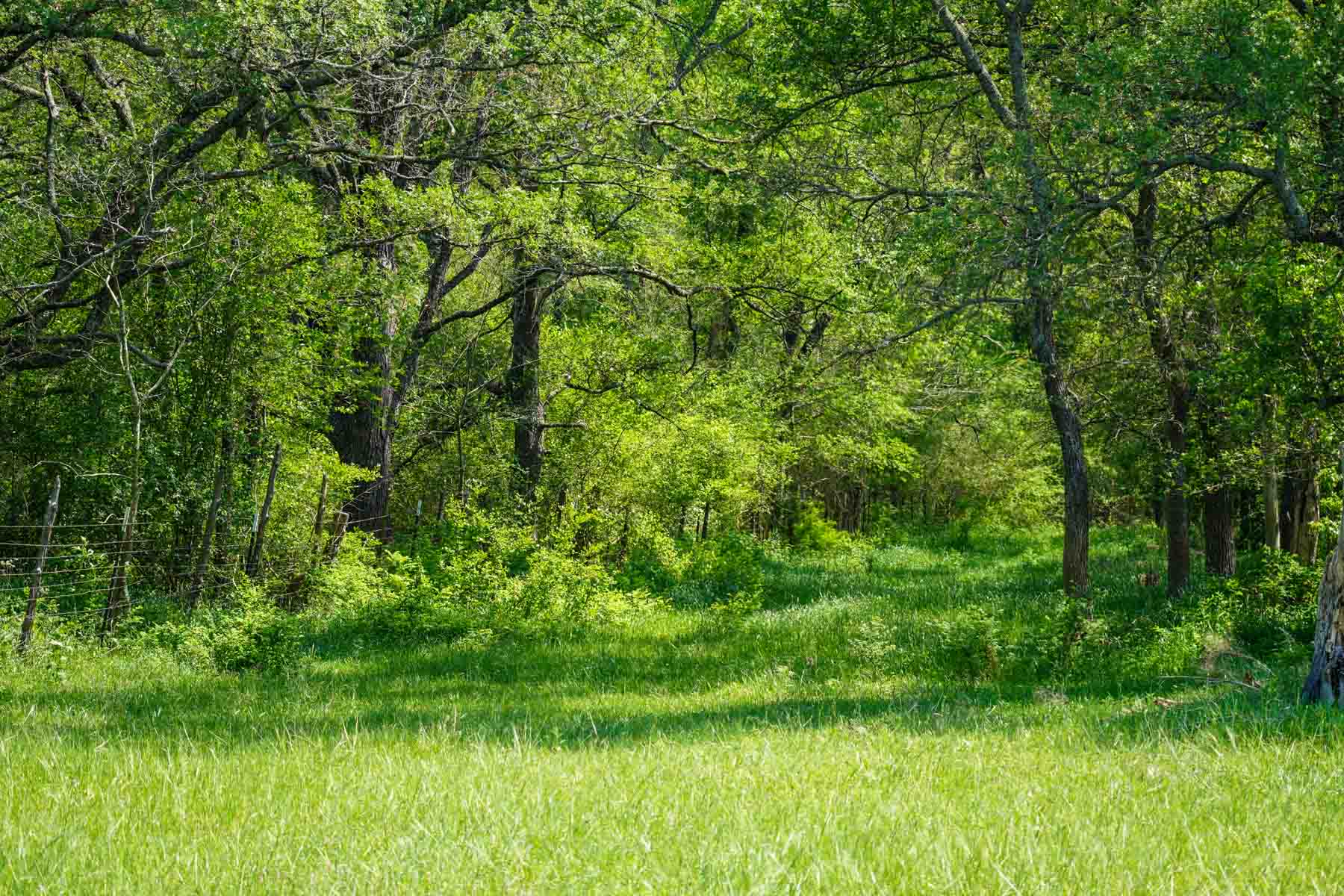 Plummers Creek Ranch property picture 22 of 37
