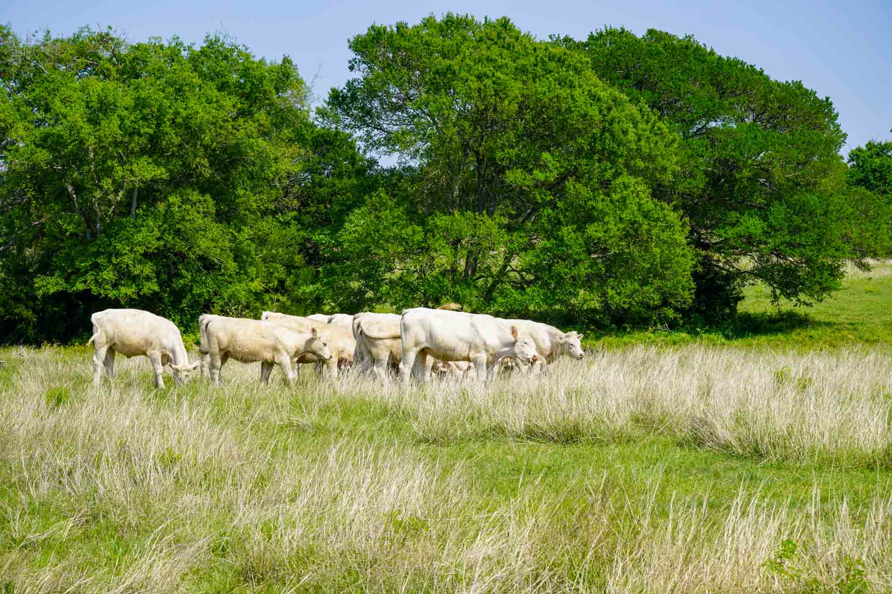 Plummers Creek Ranch property picture 29 of 37