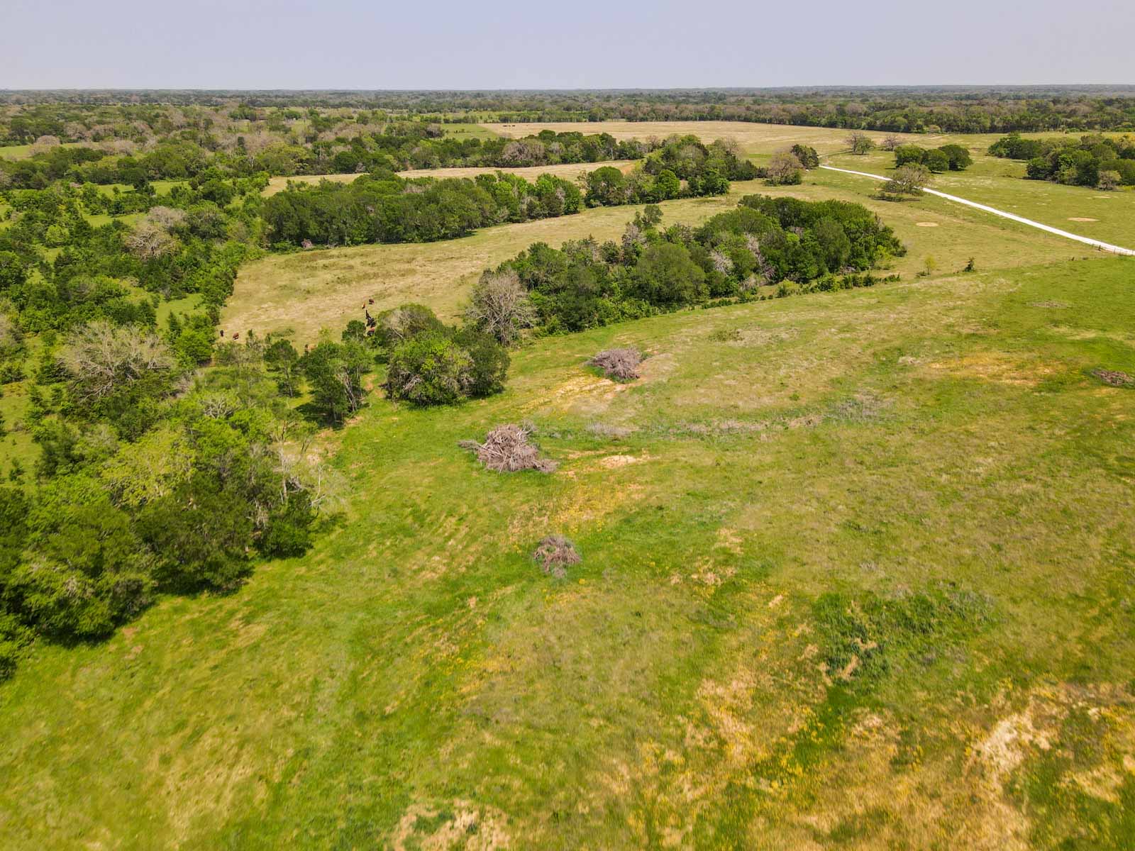 Plummers Creek Ranch property picture 21 of 37