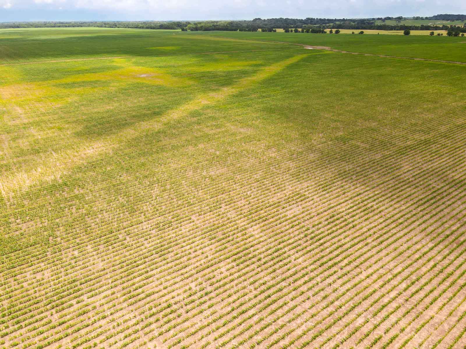 Clay Farm 233 property picture 8 of 15