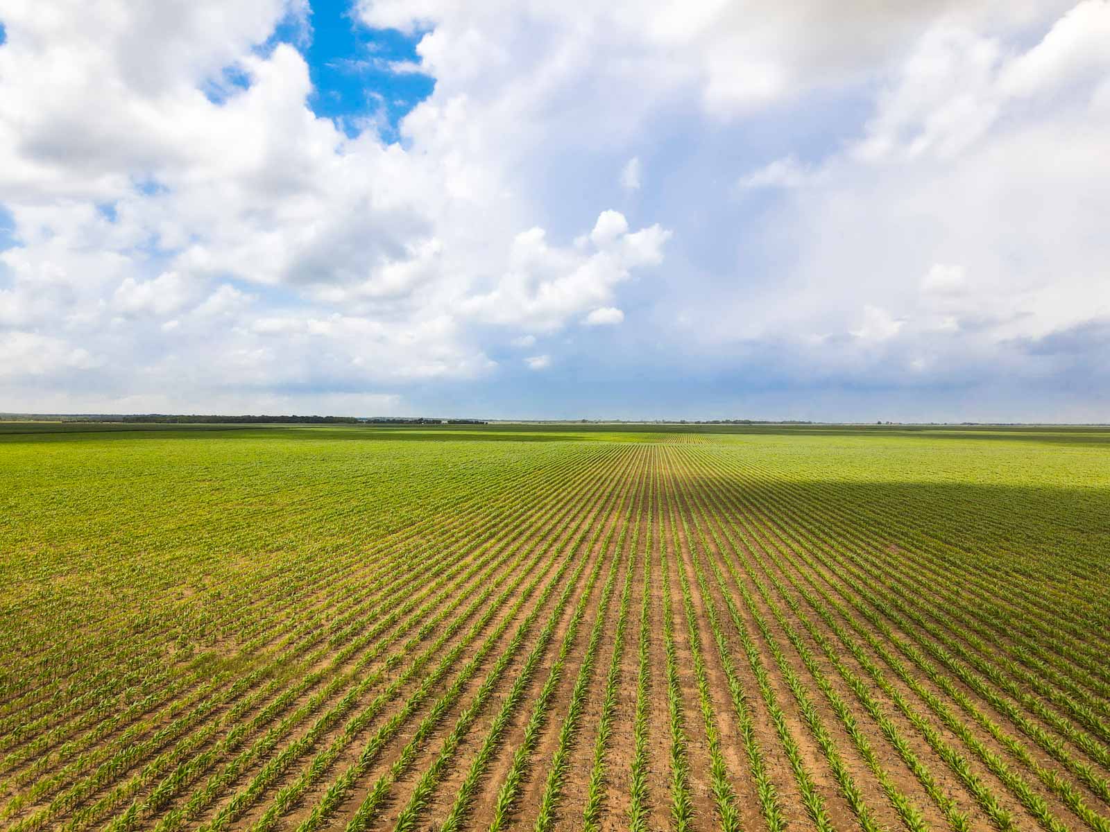 Clay Farm 233 property picture 5 of 15