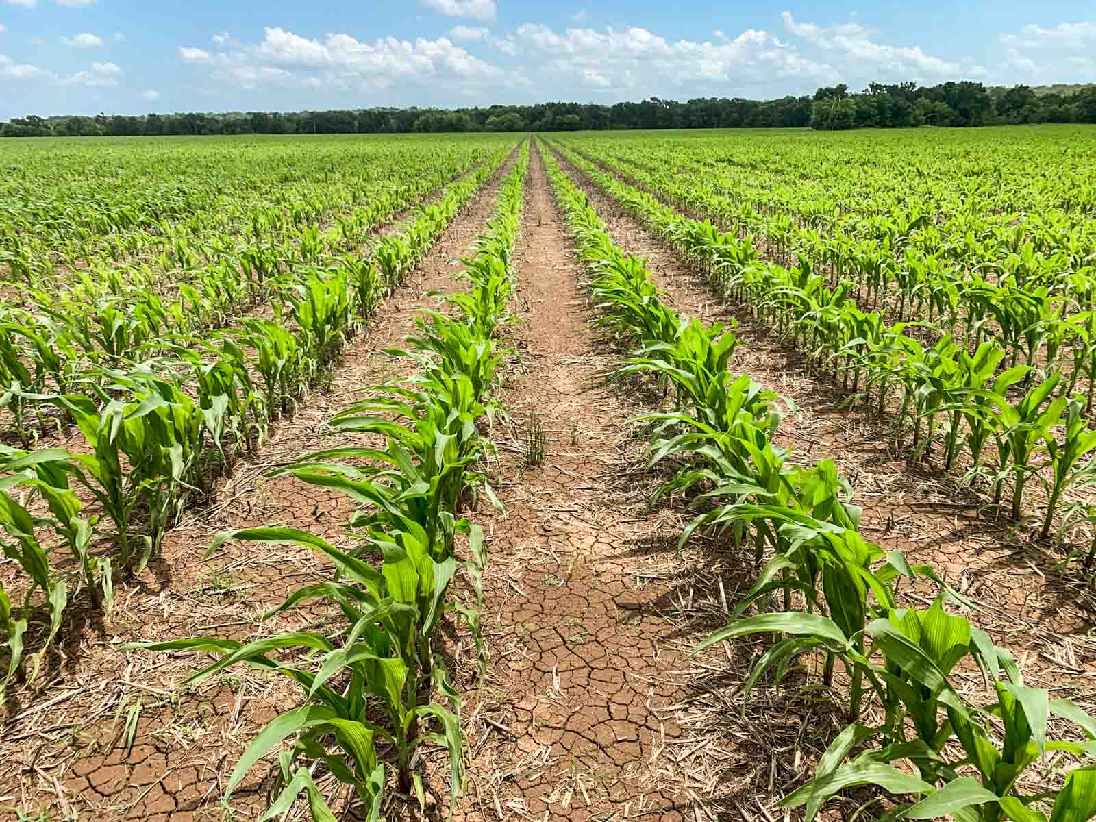 Clay Farm 233 property picture 9 of 15