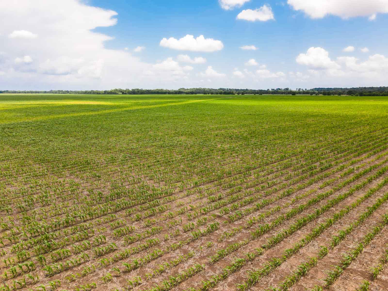 Clay Farm 233 property picture 4 of 15