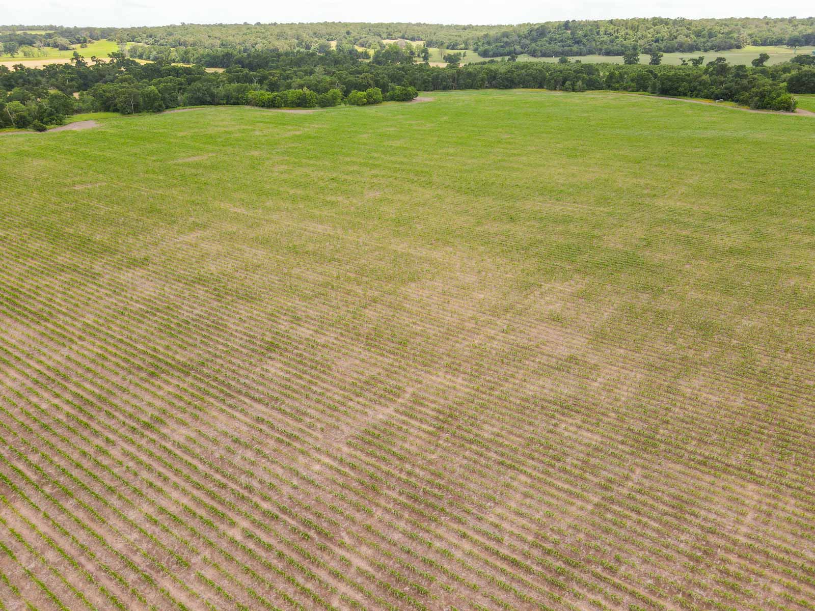 Clay Farm 233 property picture 14 of 15