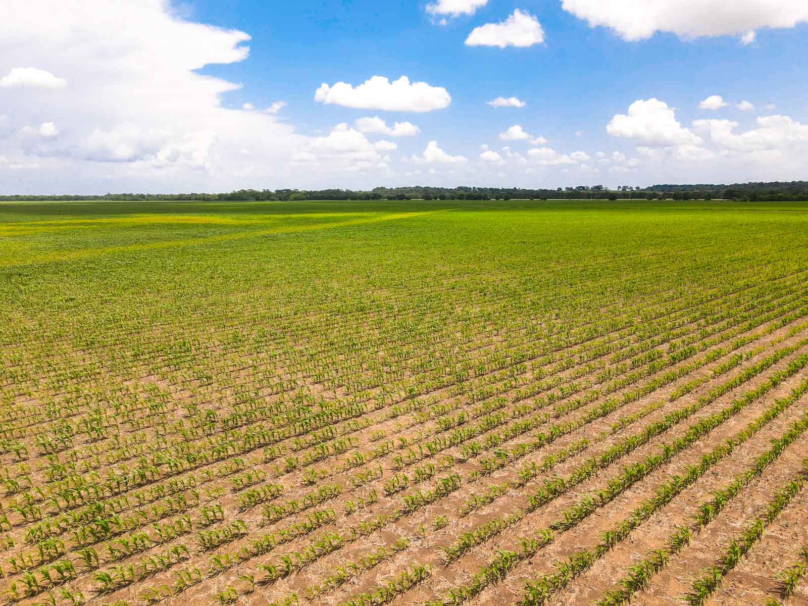 Clay Farm 233 property picture 15 of 15