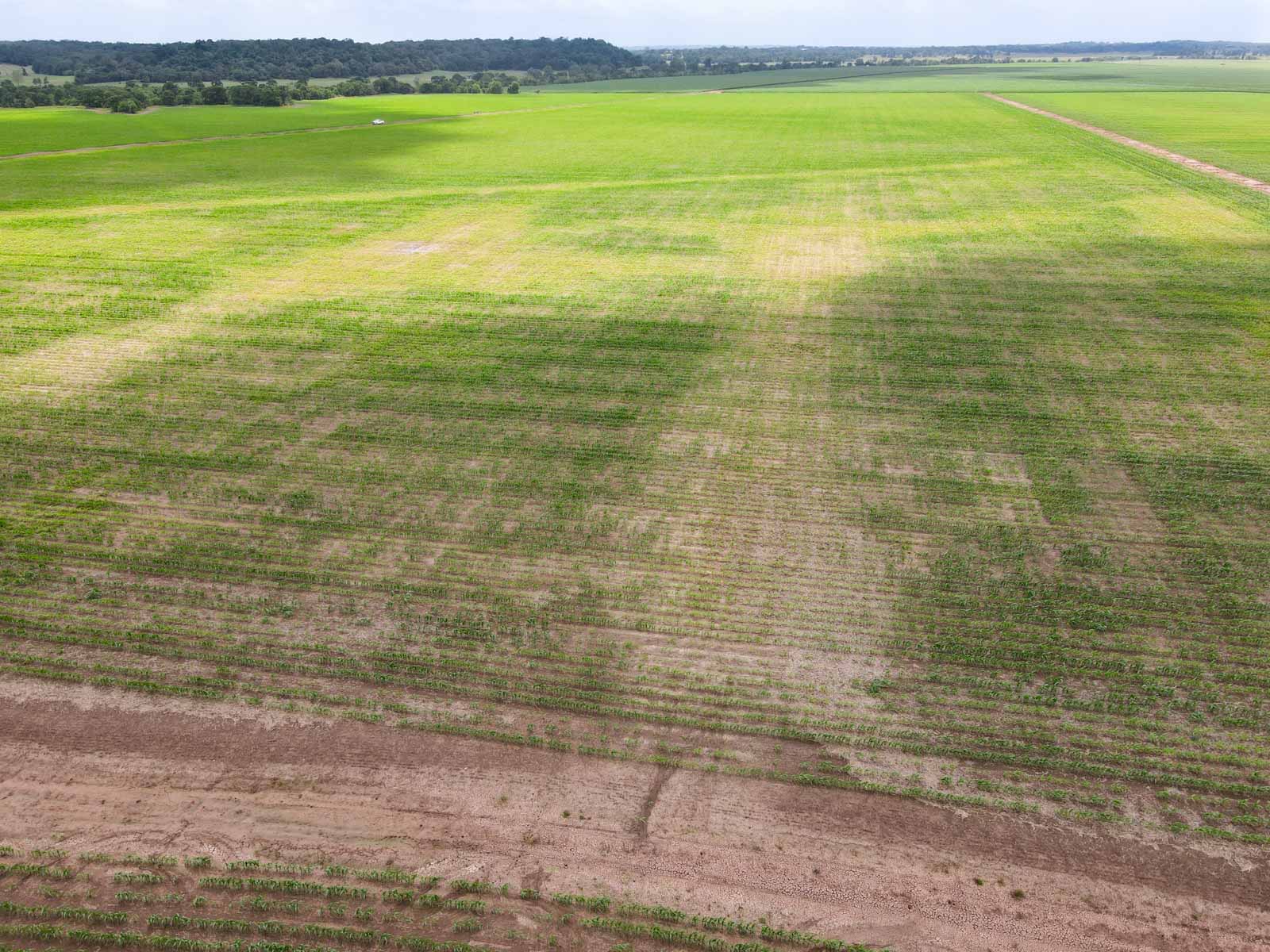 Clay Farm 233 property picture 13 of 15