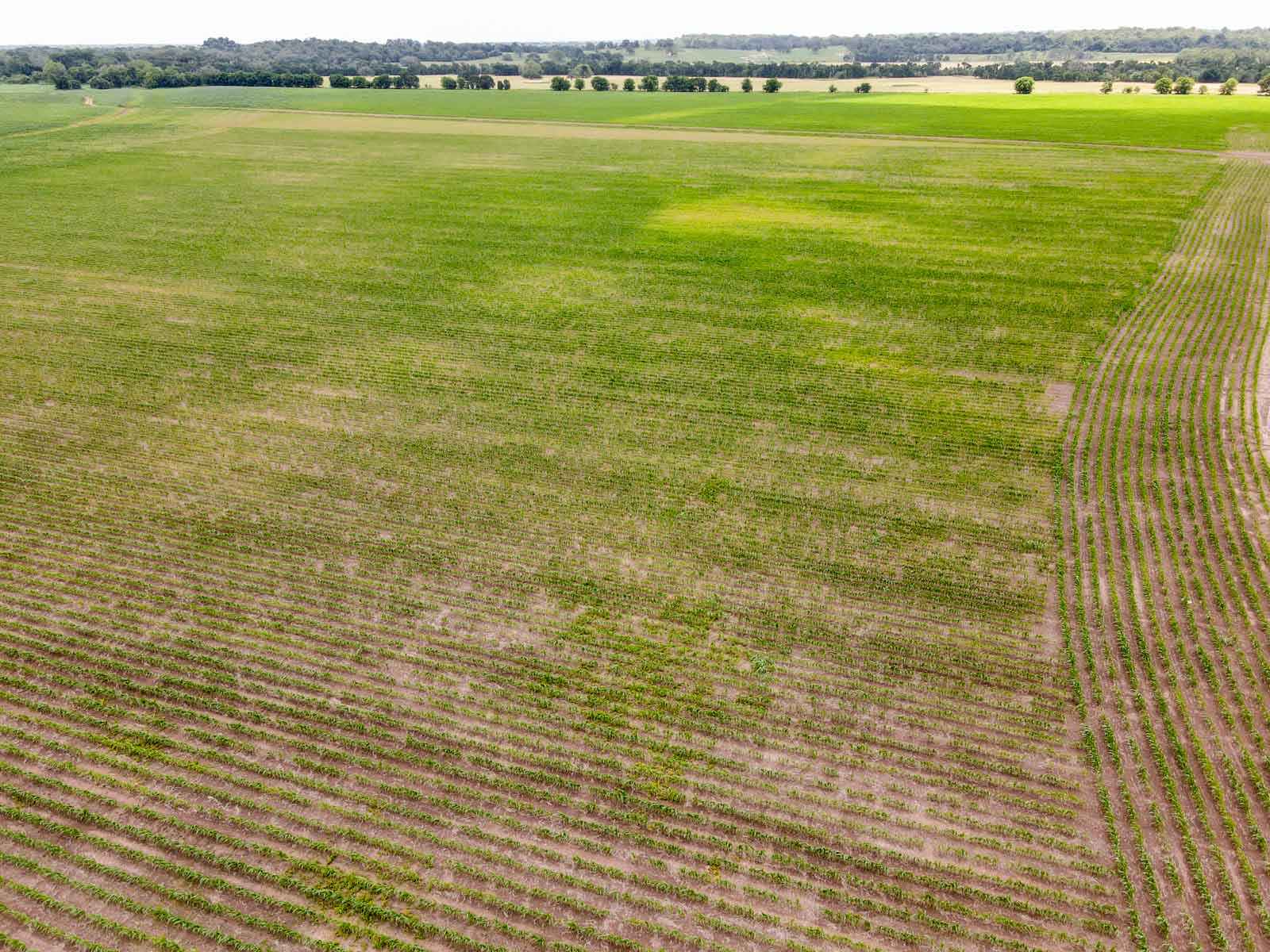 Clay Farm 233 property picture 10 of 15