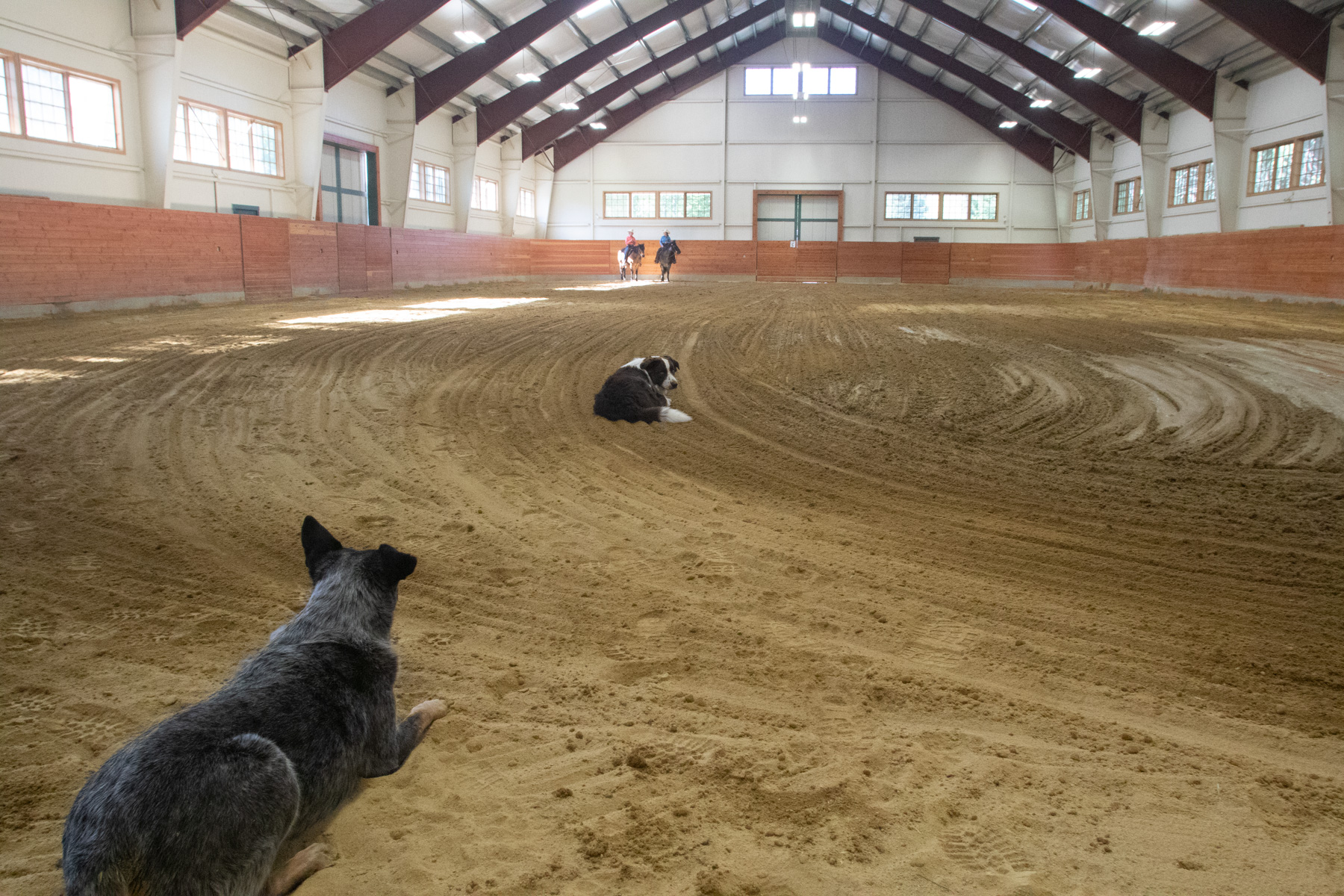 Willow Creek Ranch property picture 80 of 92