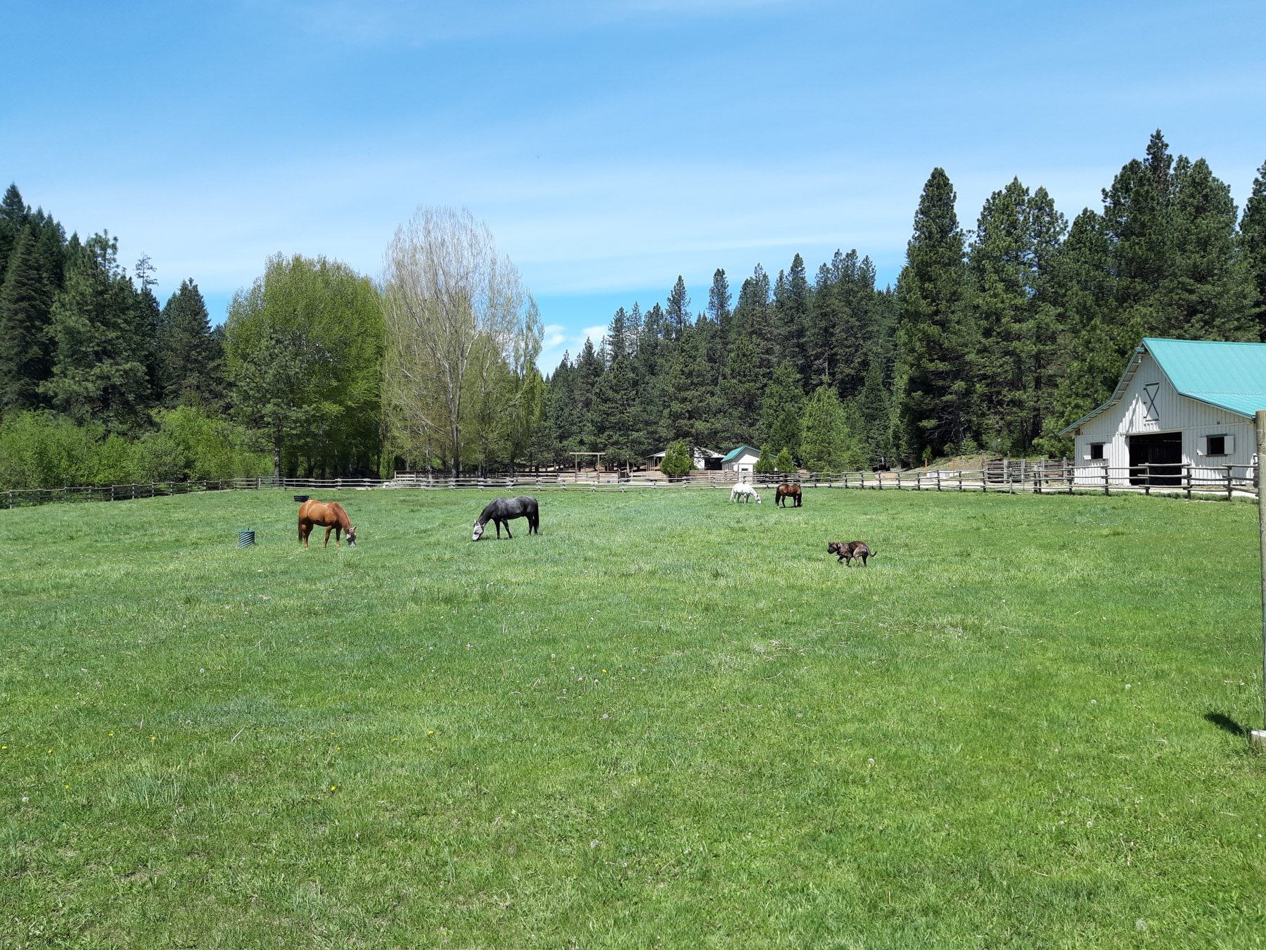 Willow Creek Ranch property picture 45 of 92