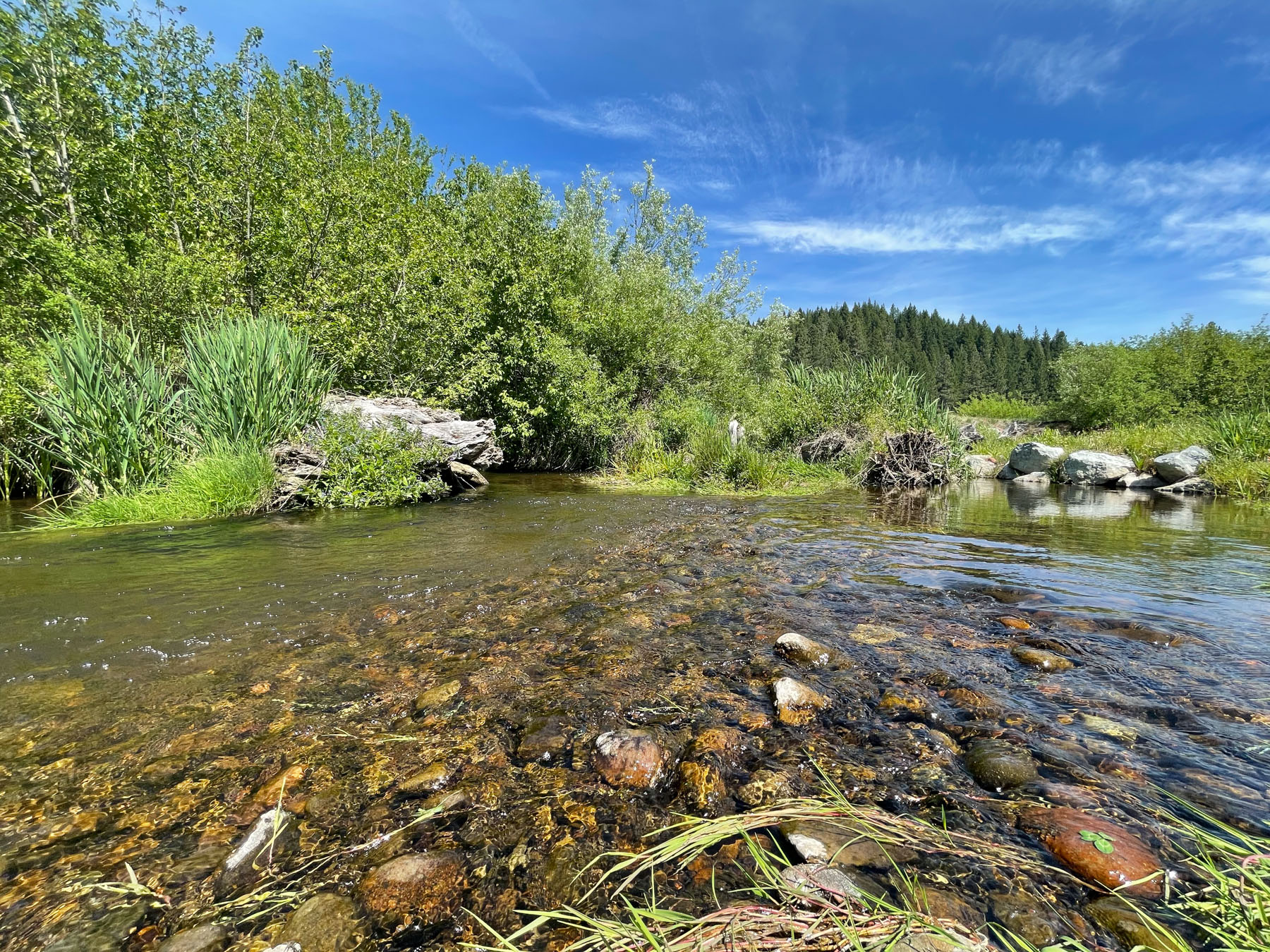 Willow Creek Ranch property picture 2 of 92