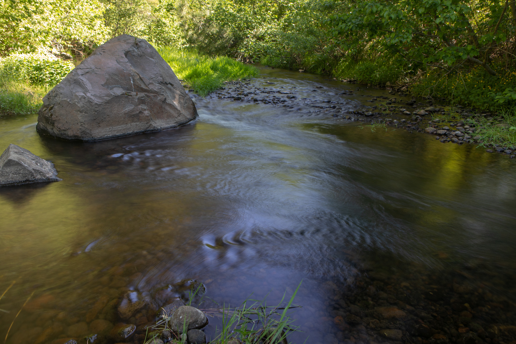 Willow Creek Ranch property picture 57 of 92