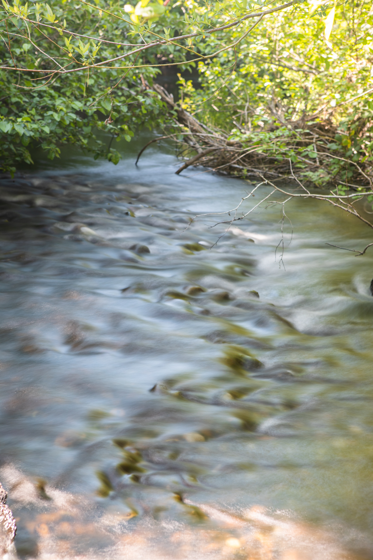 Willow Creek Ranch property picture 92 of 92