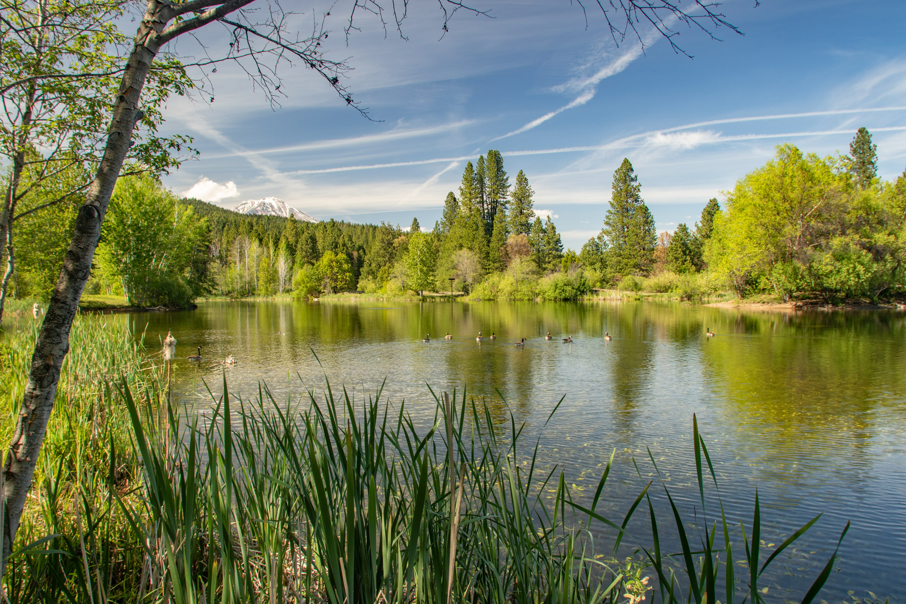 Willow Creek Ranch property picture 90 of 92