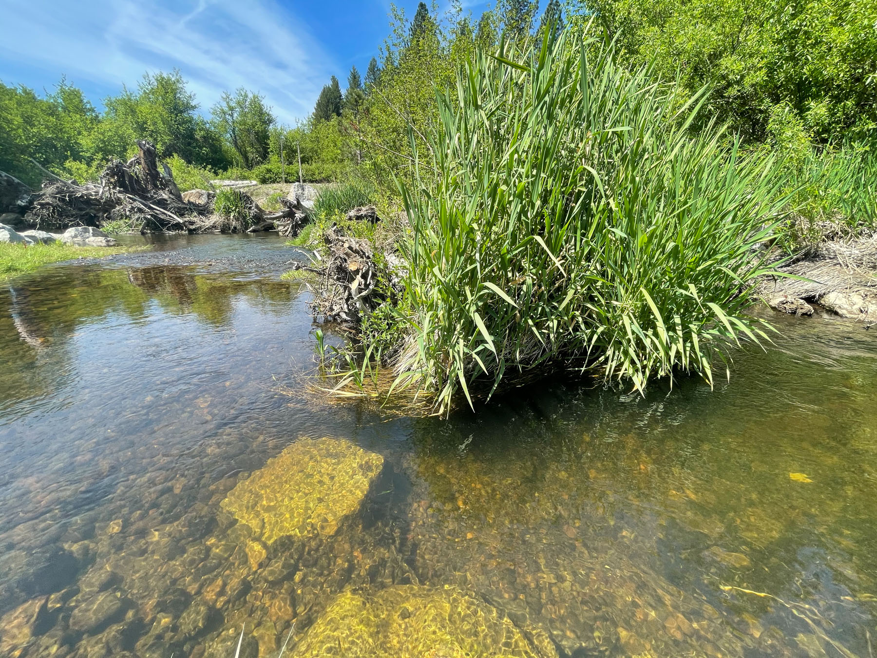 Willow Creek Ranch property picture 65 of 92