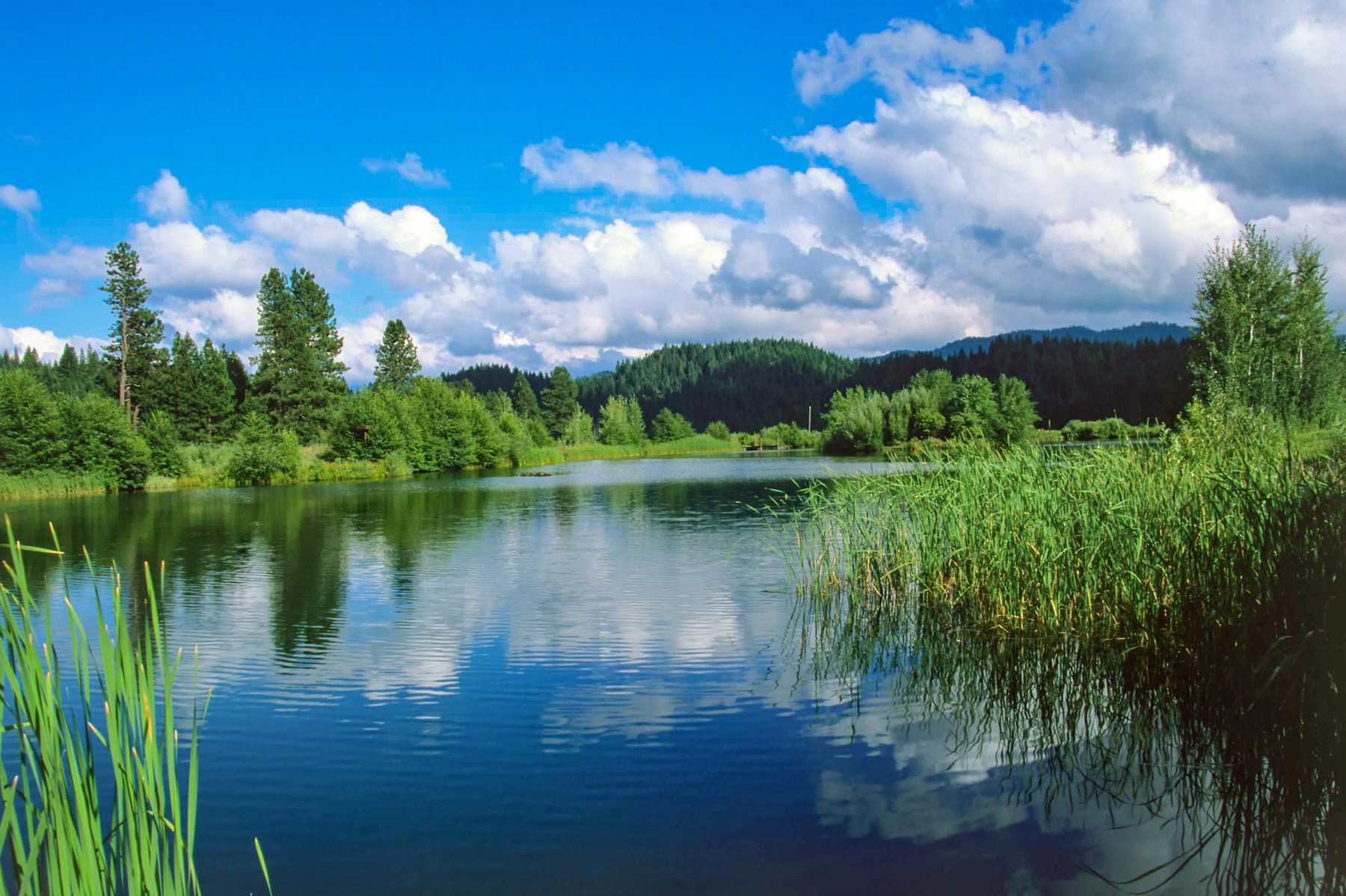 Willow Creek Ranch property picture 7 of 92