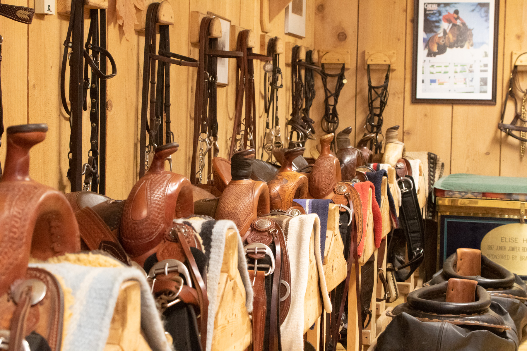 Willow Creek Ranch property picture 81 of 92