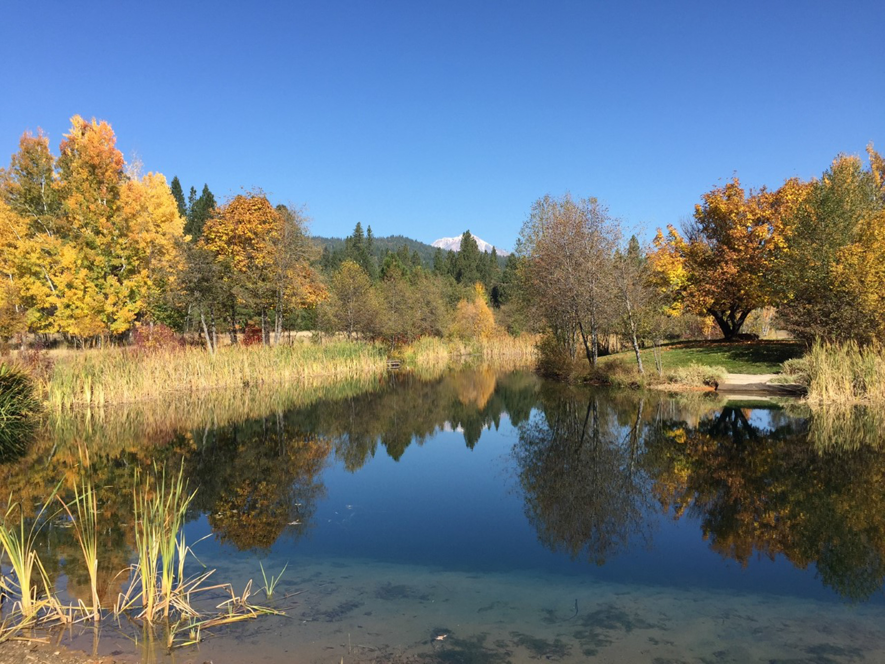 Willow Creek Ranch property picture 60 of 92