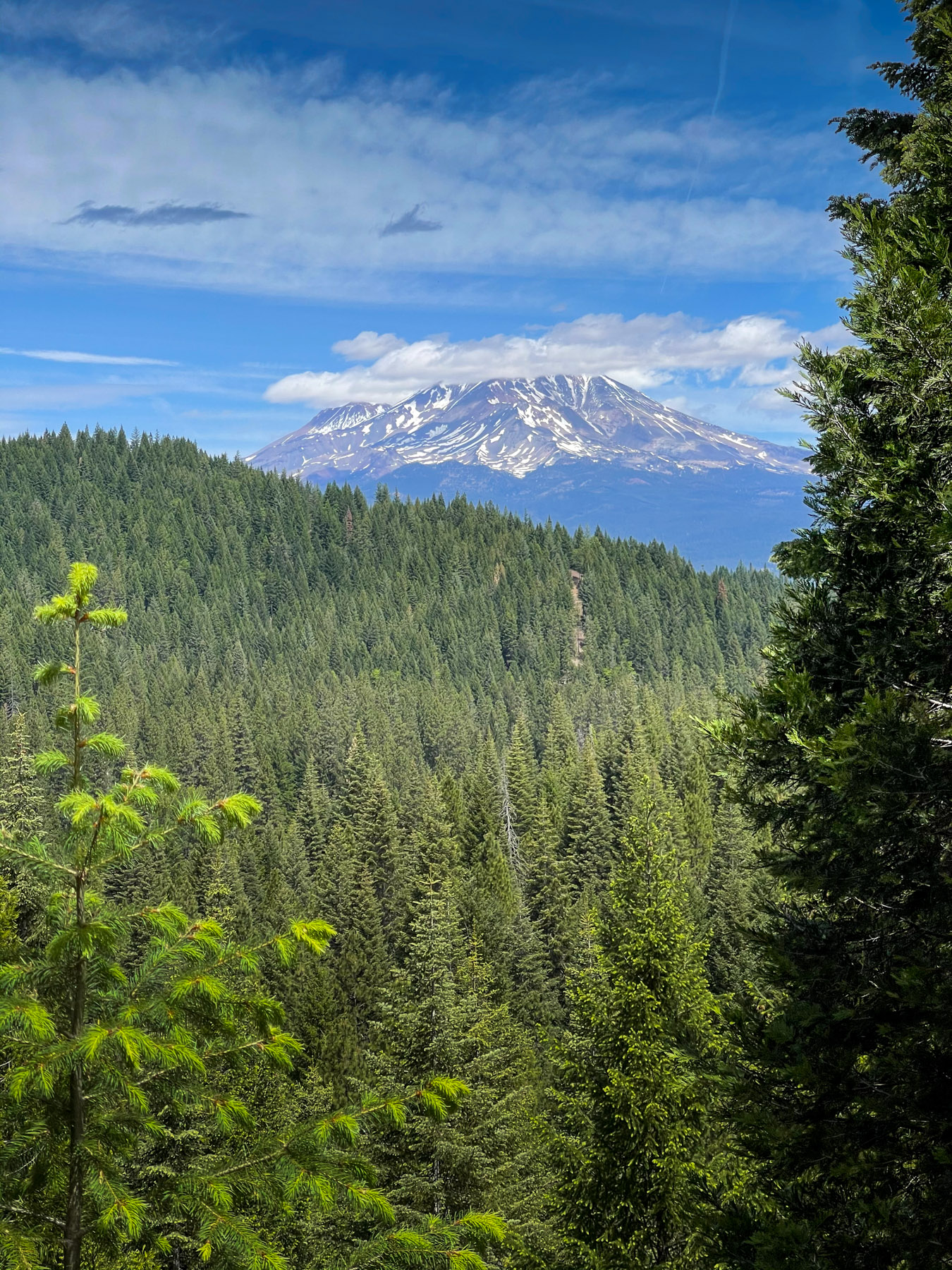 Willow Creek Ranch property picture 44 of 92