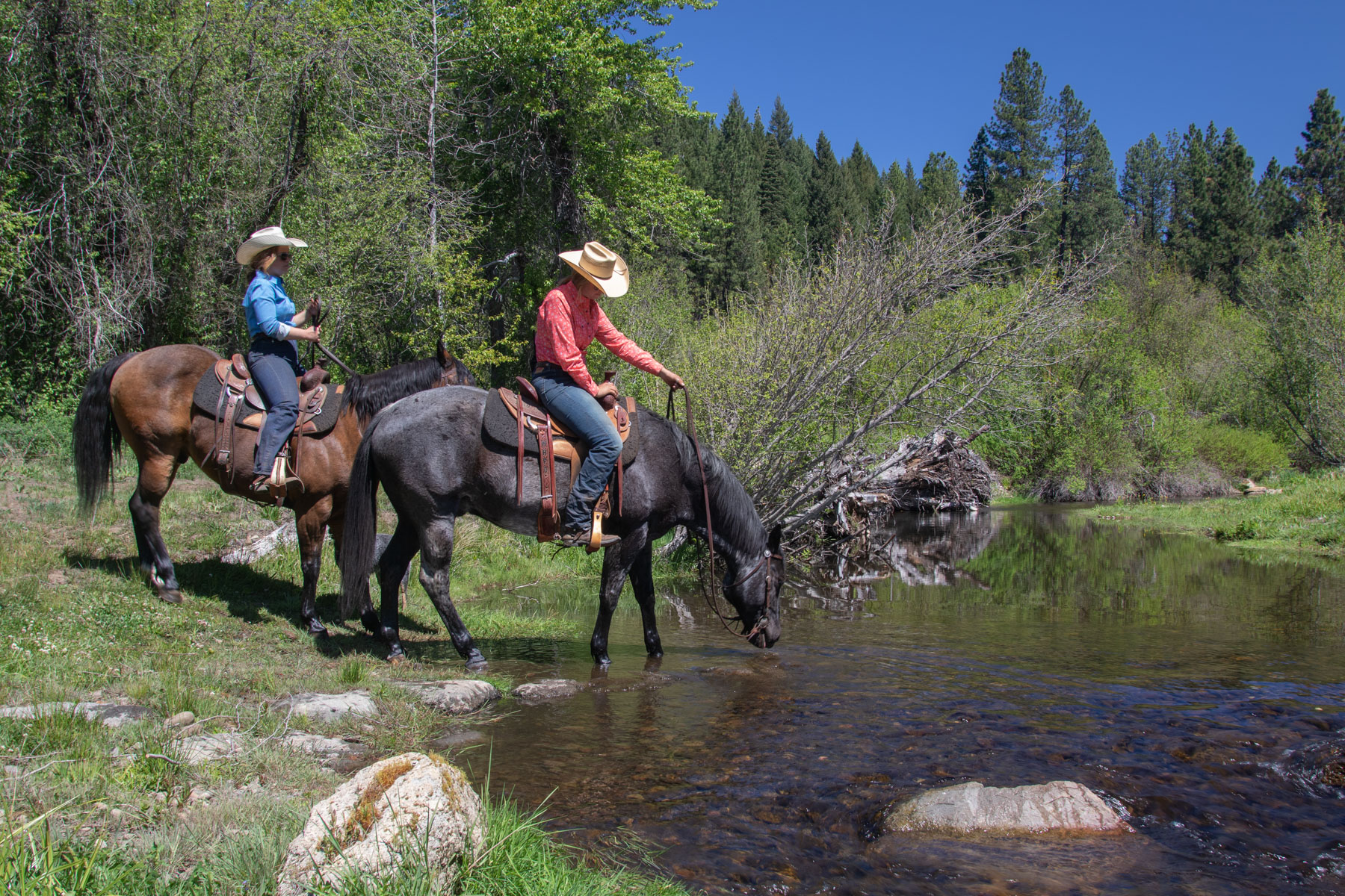 Willow Creek Ranch property picture 3 of 92