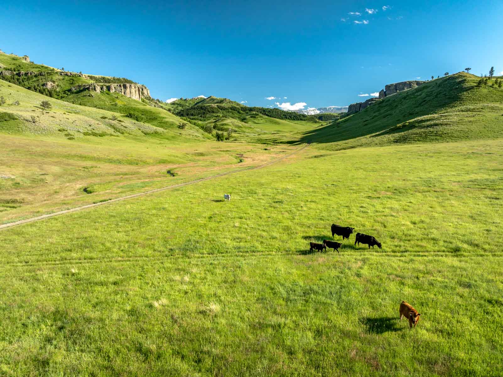 Midnight Canyon Ranch property picture 53 of 72