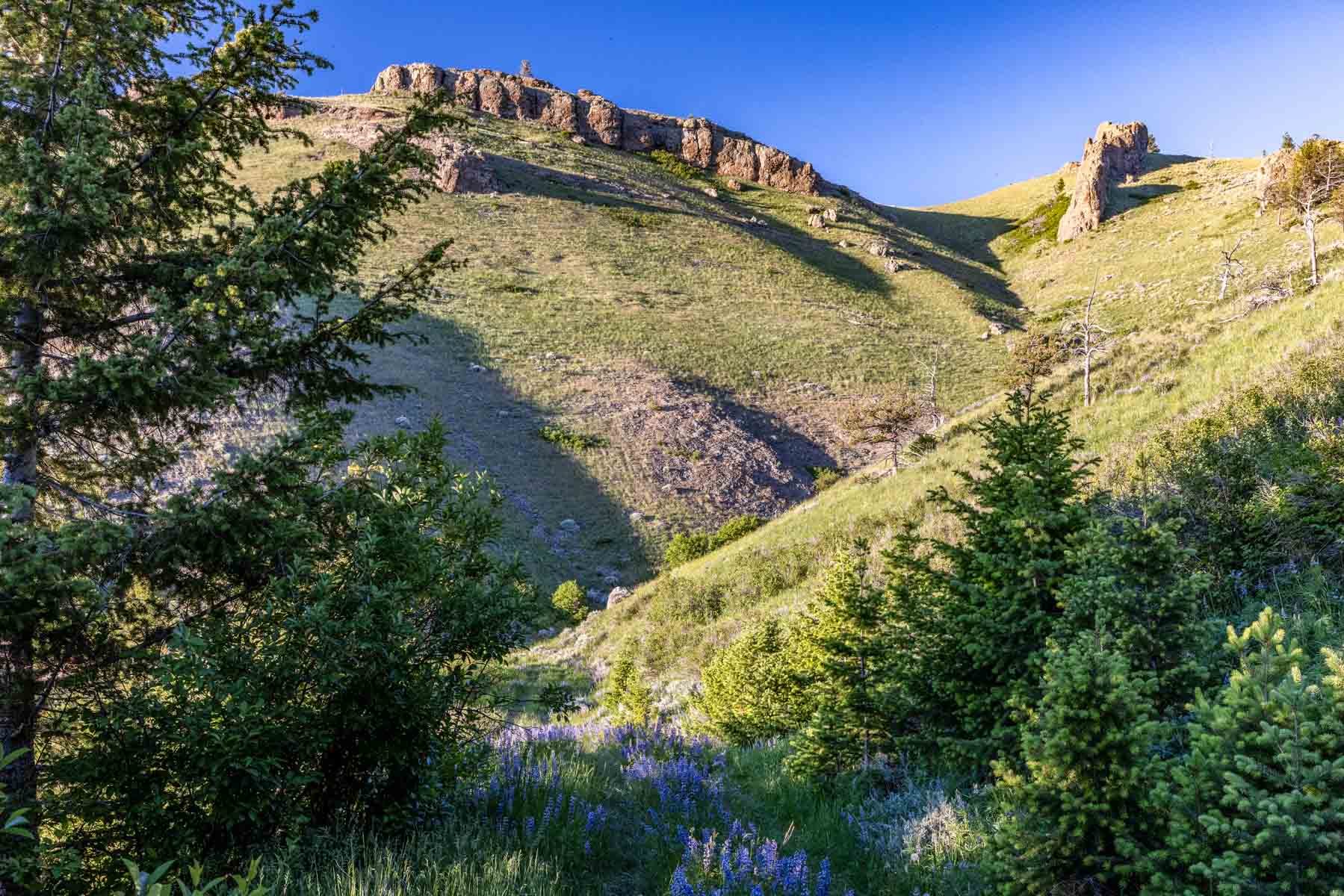 Midnight Canyon Ranch property picture 19 of 72