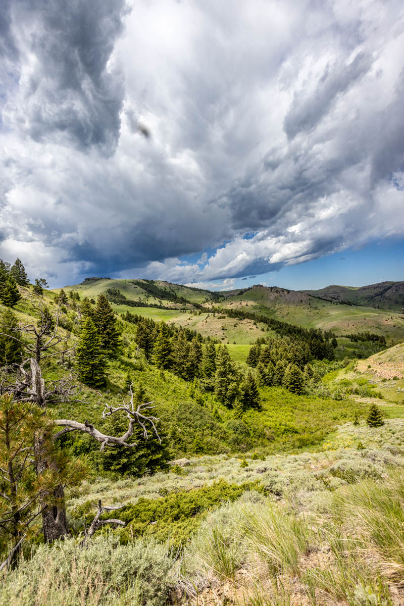 Midnight Canyon Ranch property picture 42 of 72